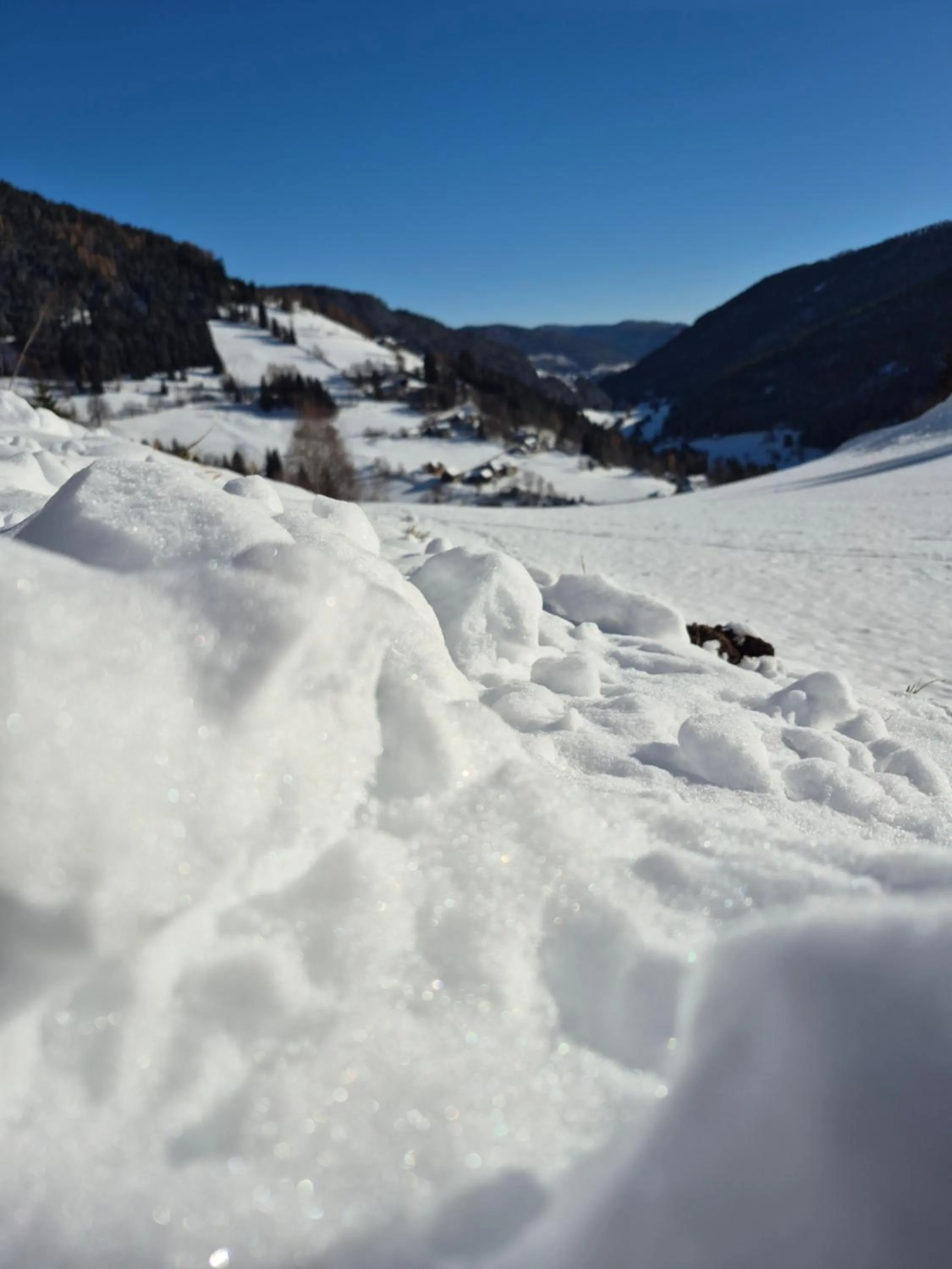 Natural landscape in Hotel Restaurant Raunig