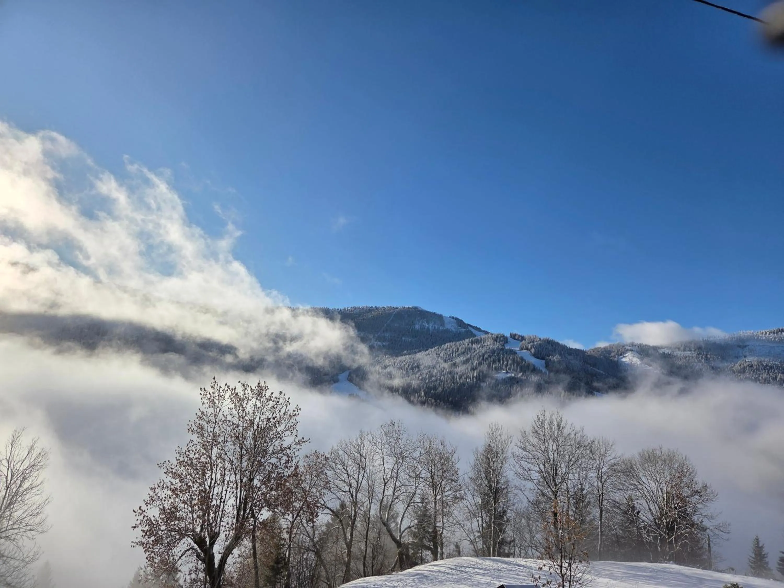 View (from property/room) in Hotel Restaurant Raunig
