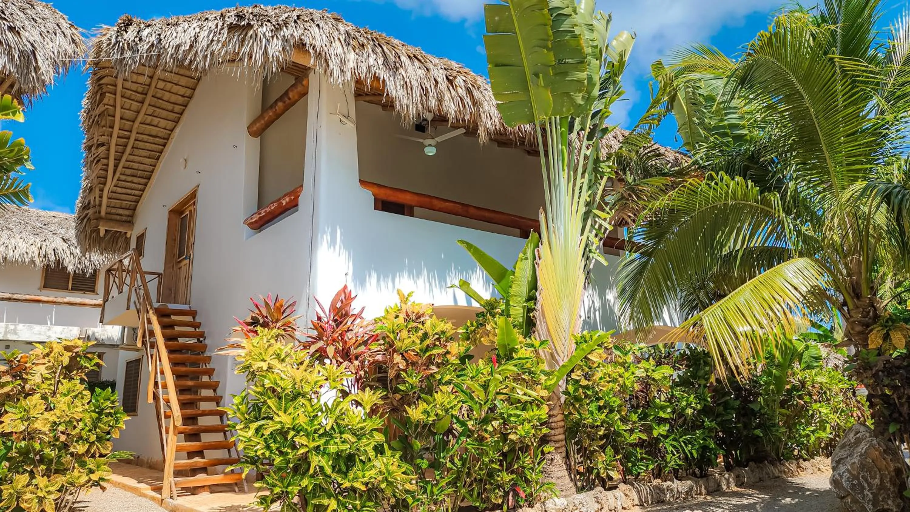 Garden in Paradiso del Caribe