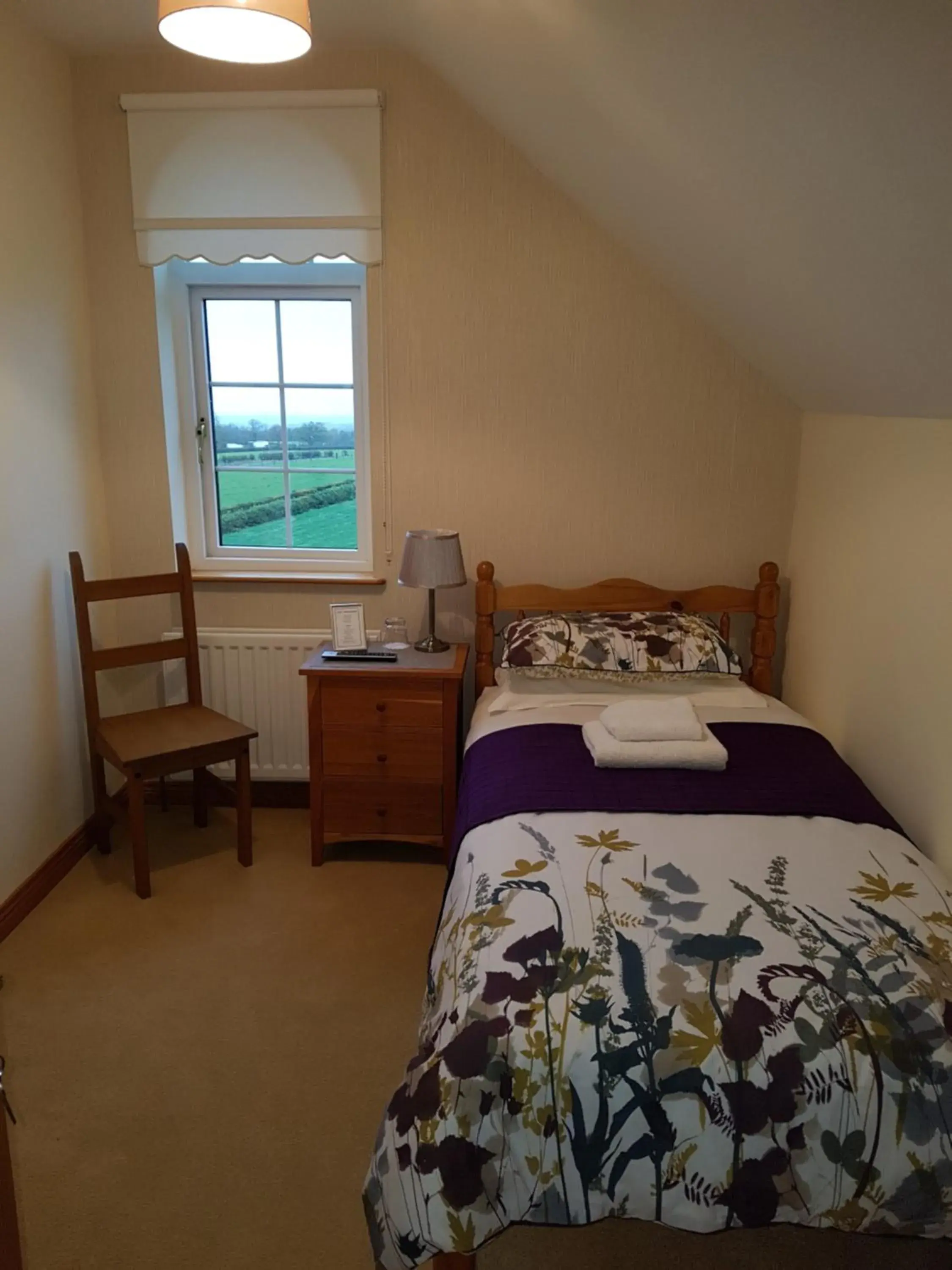 Small Single Room - single occupancy in Kilcreeny Lodge Small Single Room - single occupancy in Kilcreeny Lodge