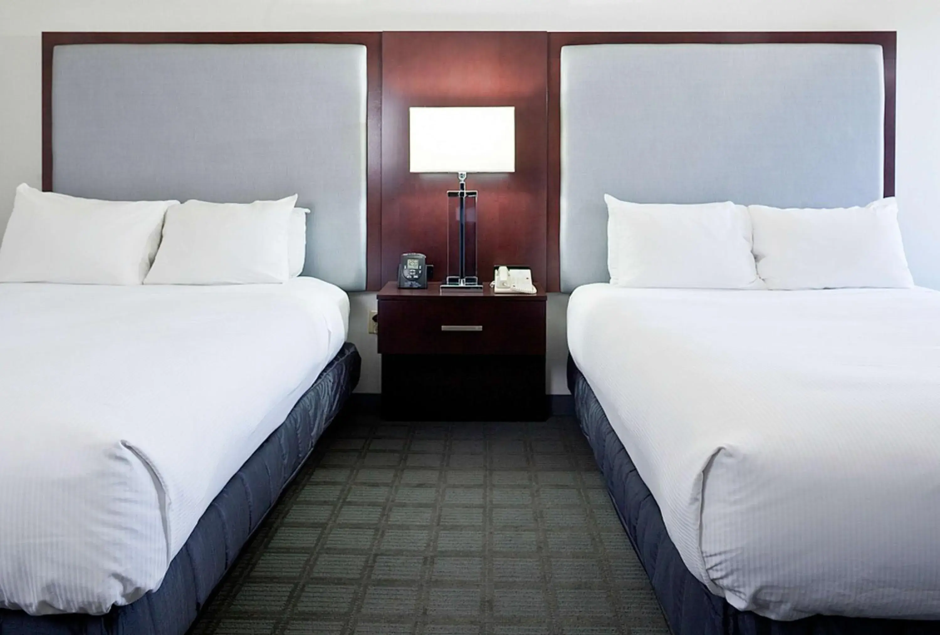 Queen Room with Two Queen Beds in Hilton Scranton & Conference Center Queen Room with Two Queen Beds in Hilton Scranton & Conference Center