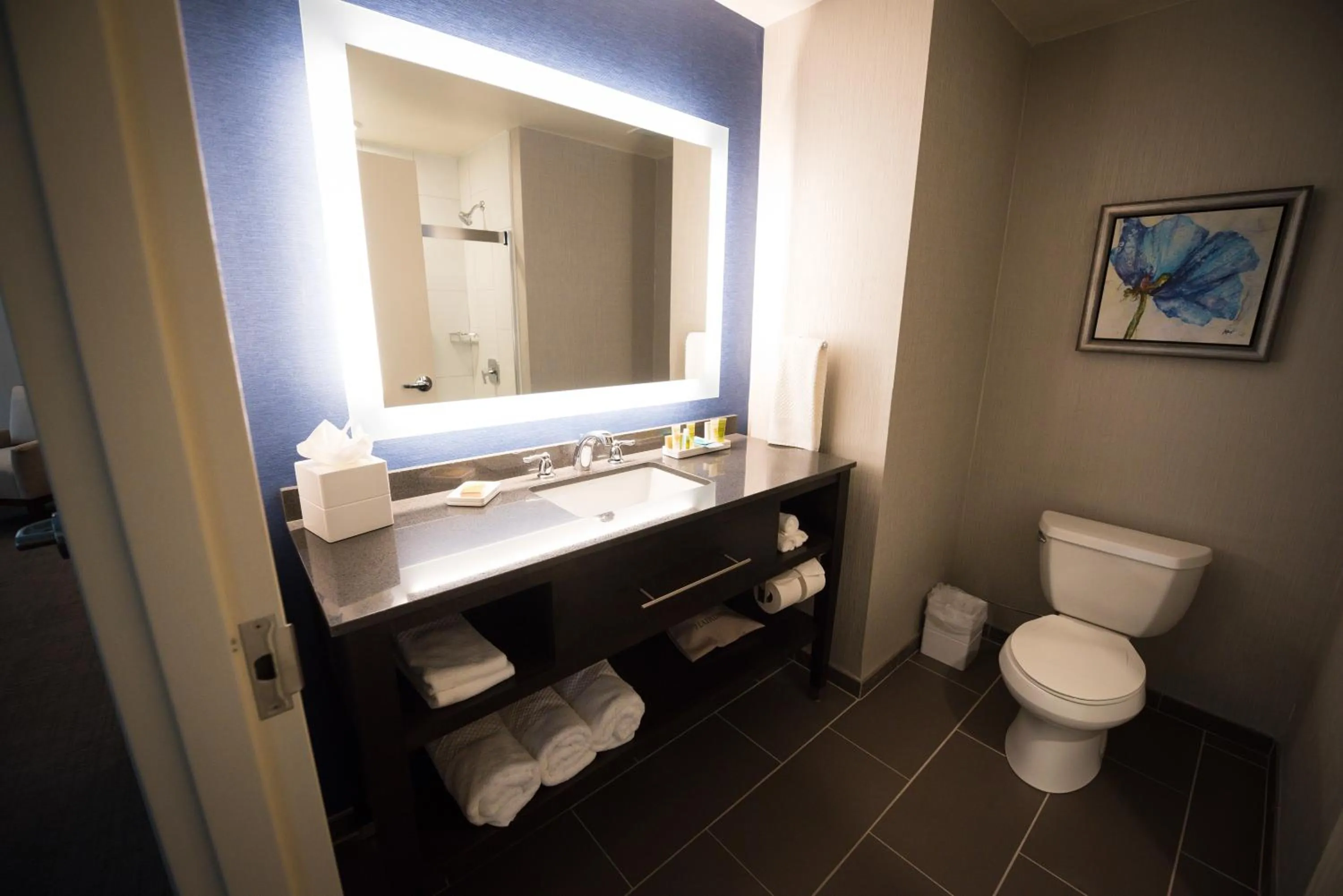 Bathroom in Hilton Scranton & Conference Center