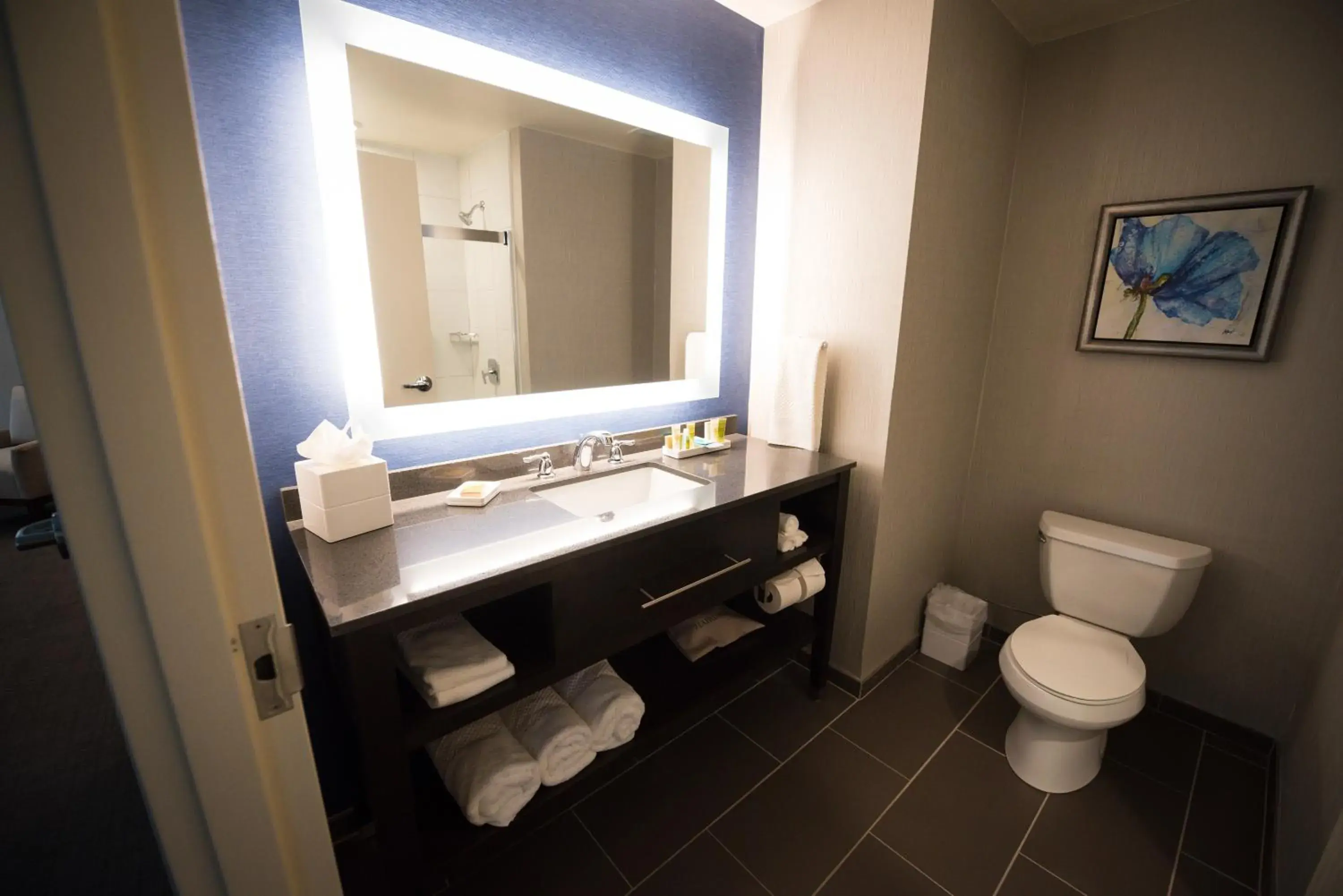 King Room with Sofa Bed in Hilton Scranton & Conference Center King Room with Sofa Bed in Hilton Scranton & Conference Center