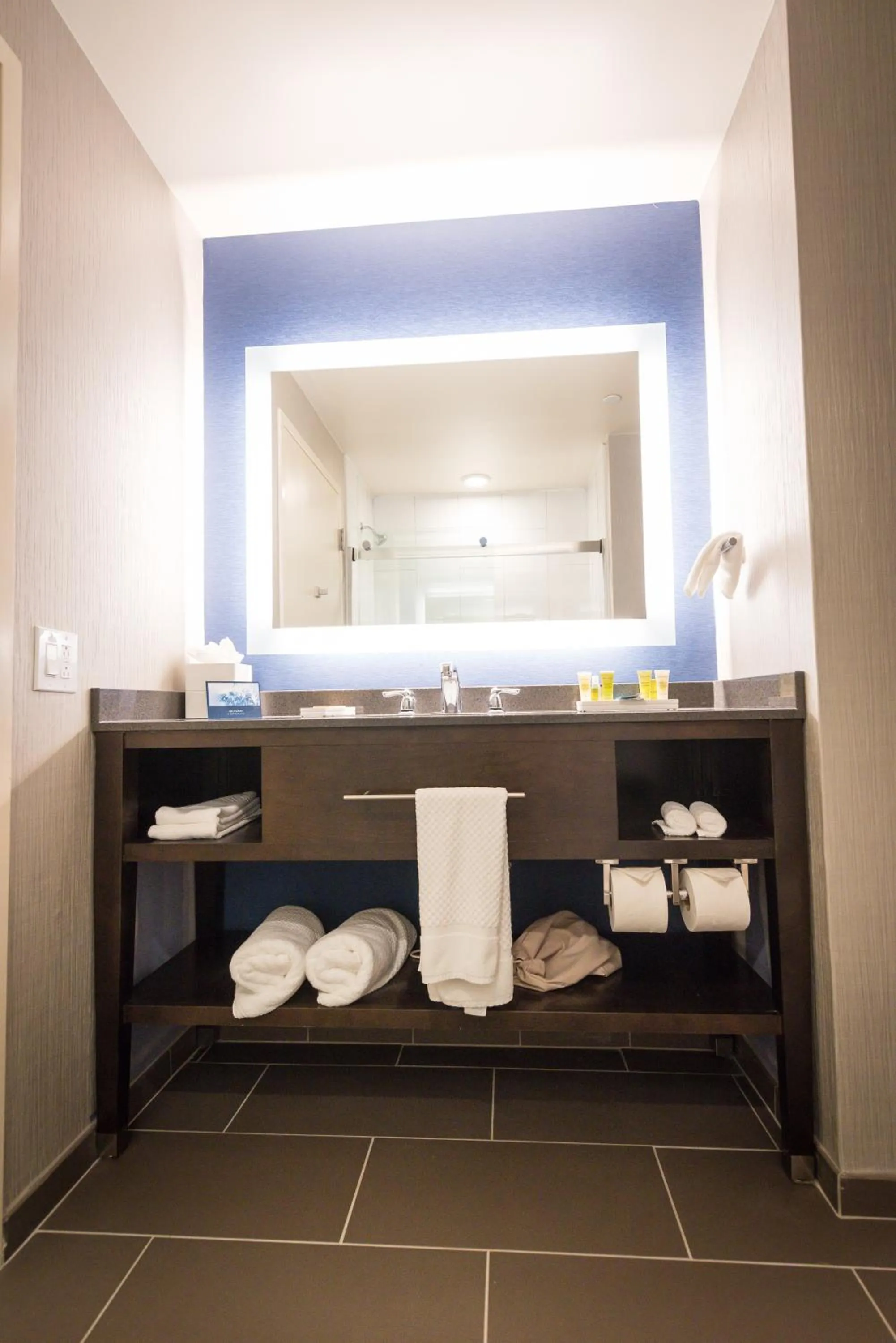 Bathroom in Hilton Scranton & Conference Center