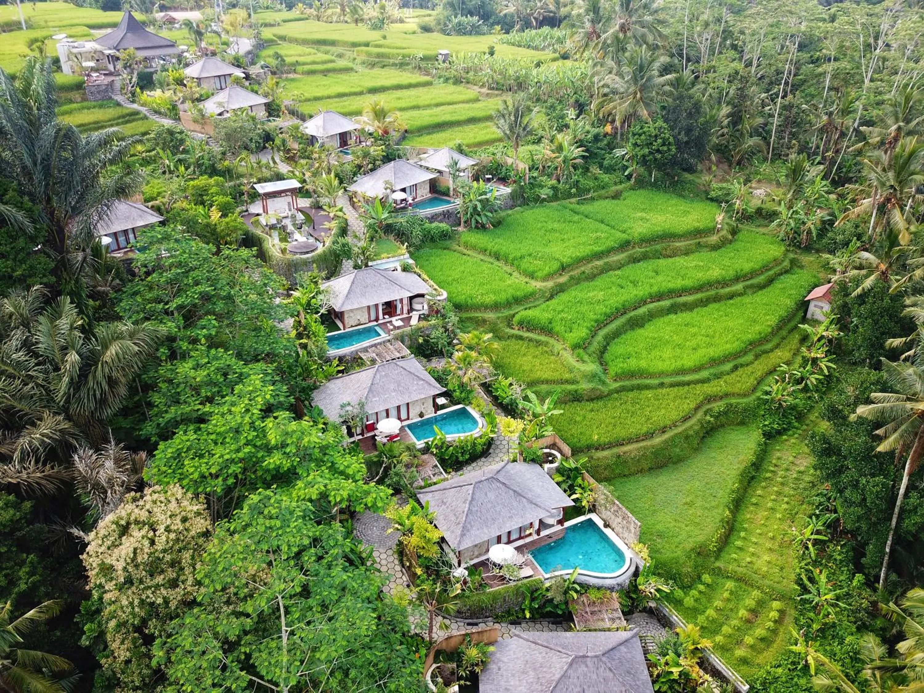 Summer in Nau Villa Ubud