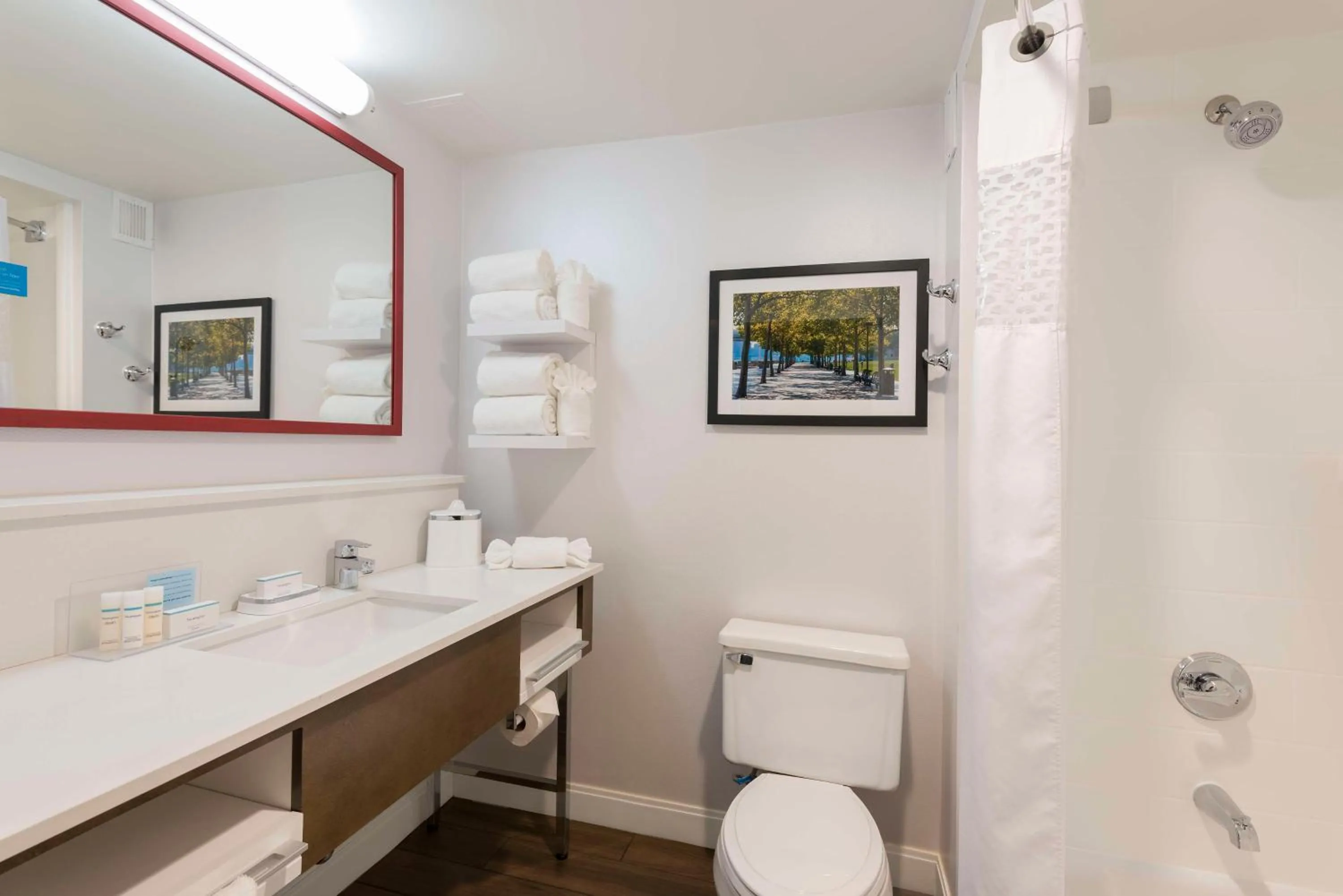 Bathroom in Hampton Inn Cincinnati Airport South