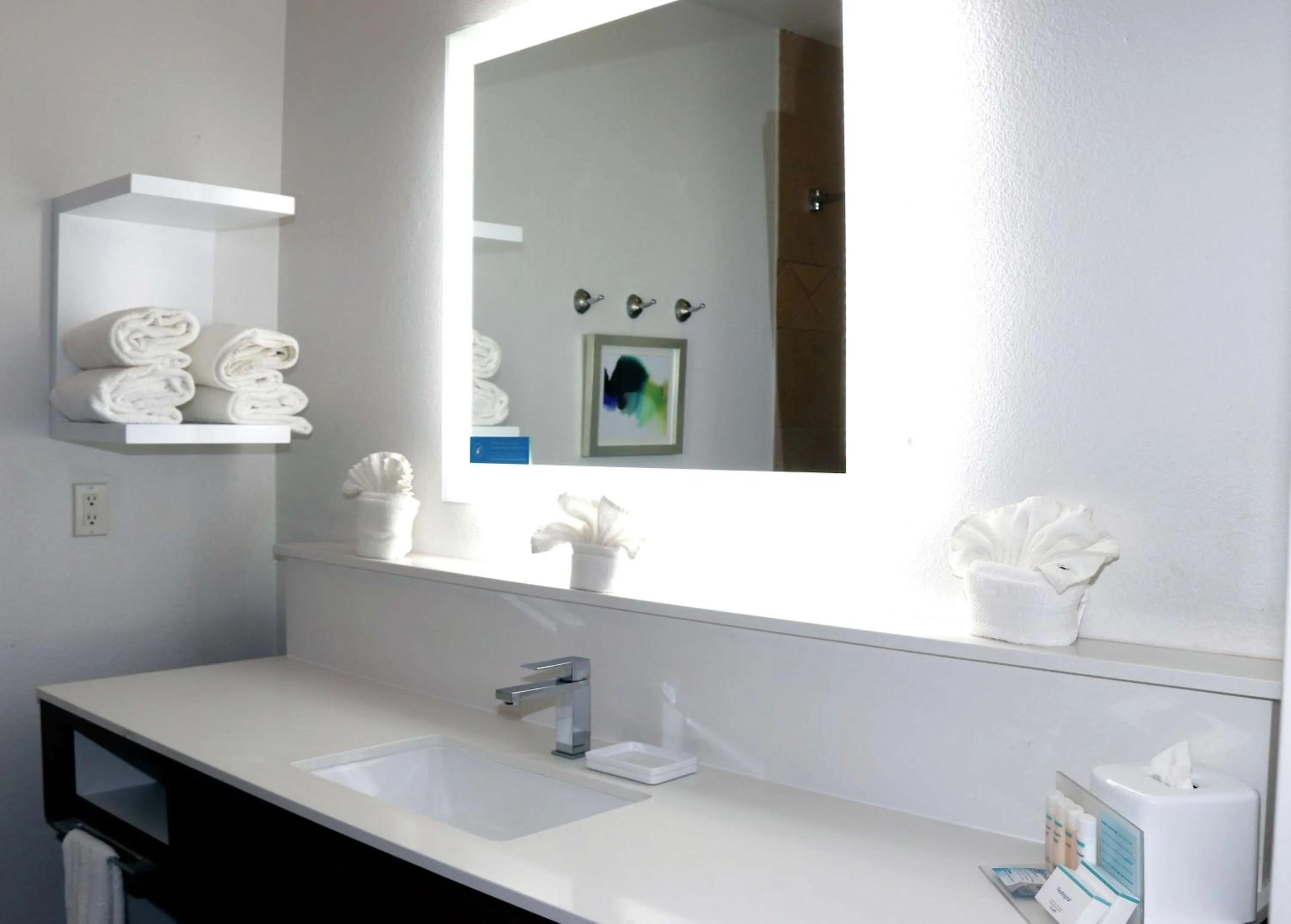 Bathroom in Hampton Inn and Suites Stephenville