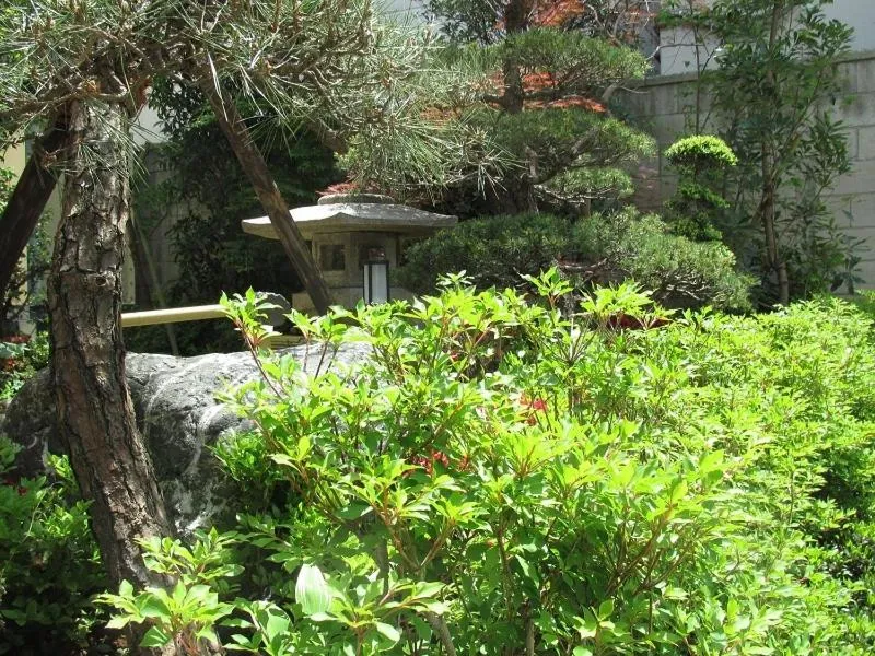 Garden in Ryokan Fuji