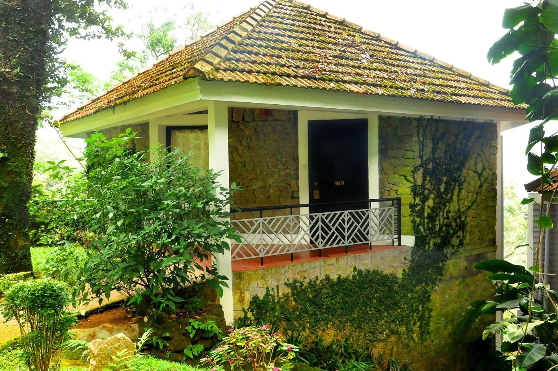 Property building in The Tall Trees