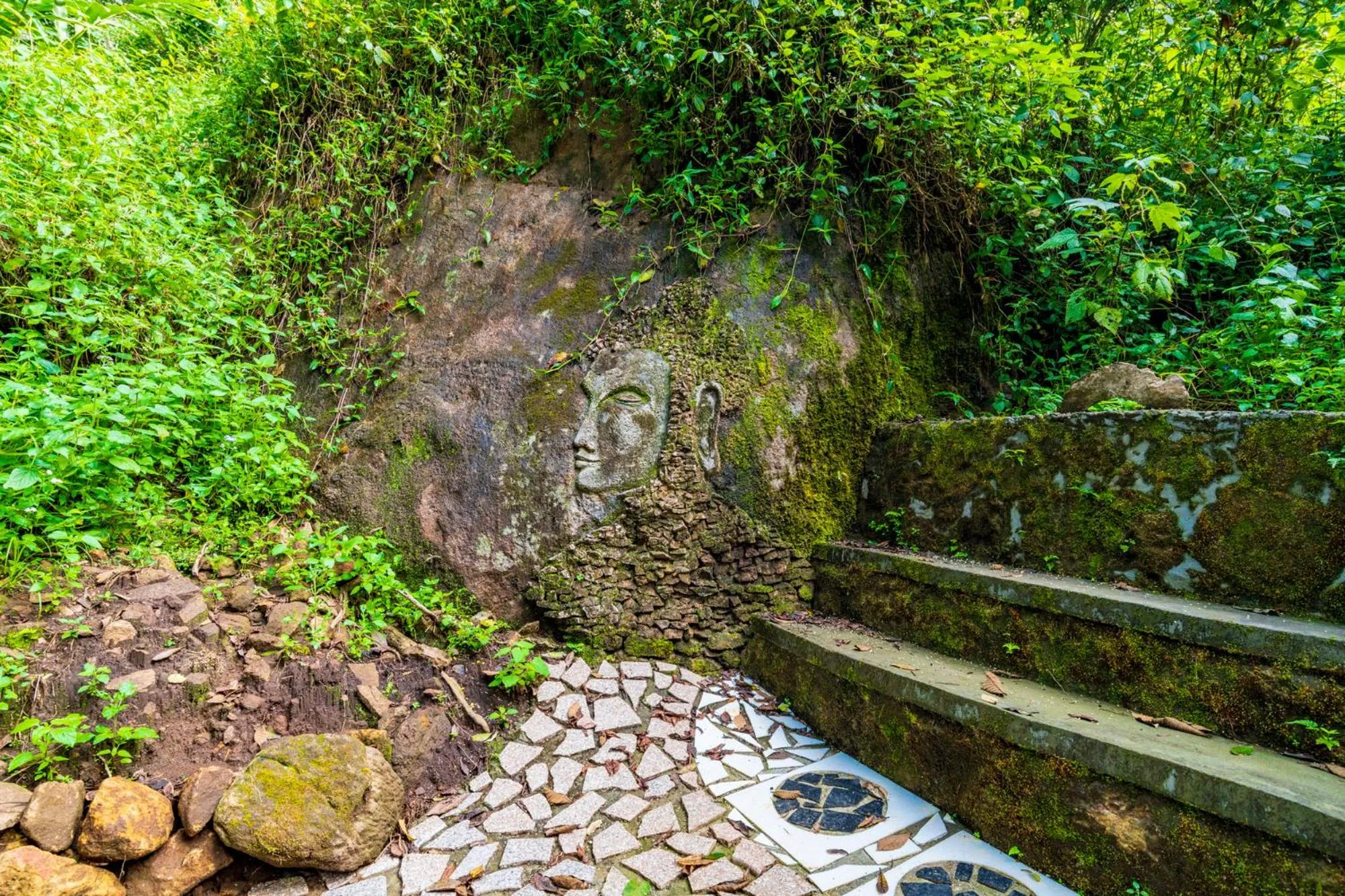 Natural landscape in The Tall Trees