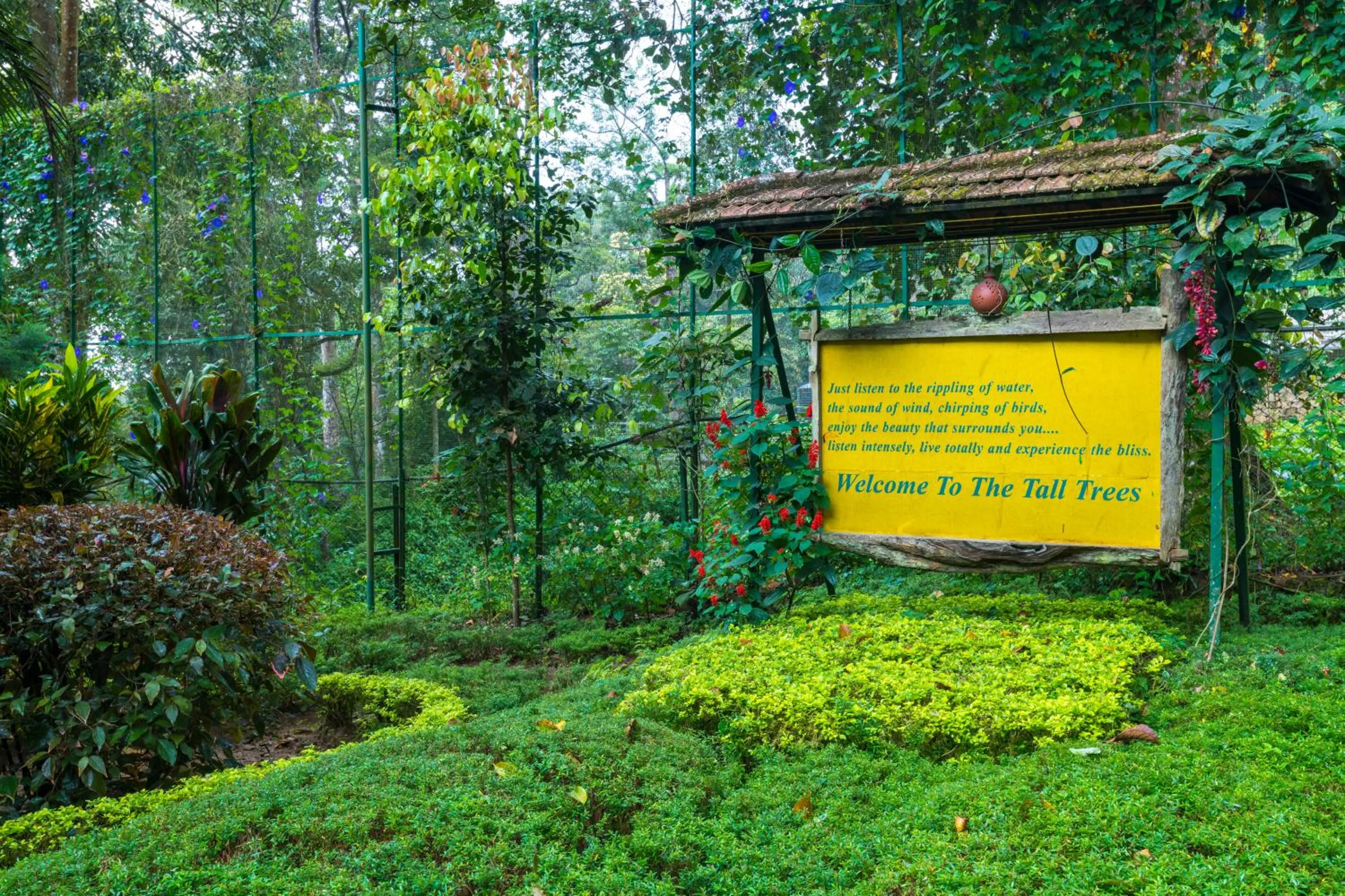 Garden in The Tall Trees