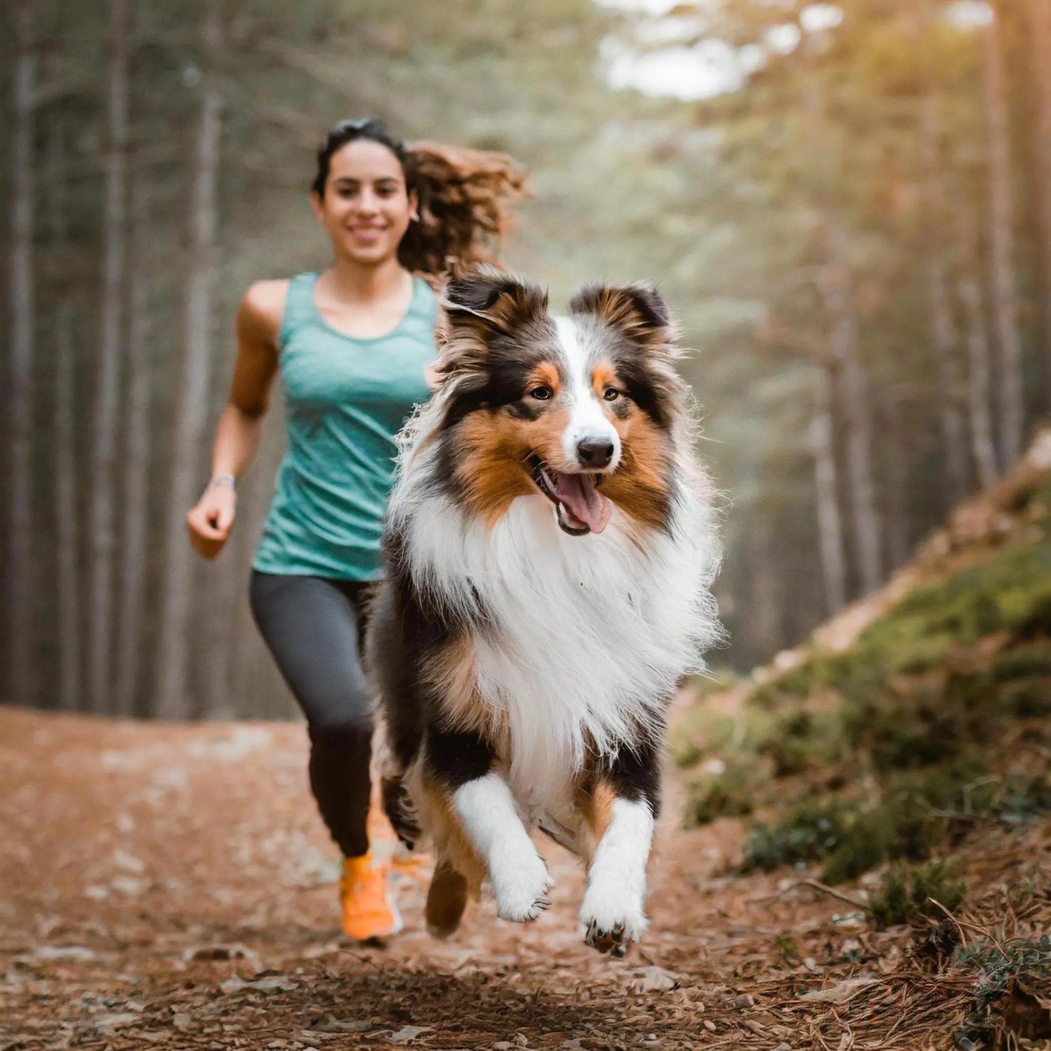 Hiking in Spa Resort Styria- ADULTS ONLY