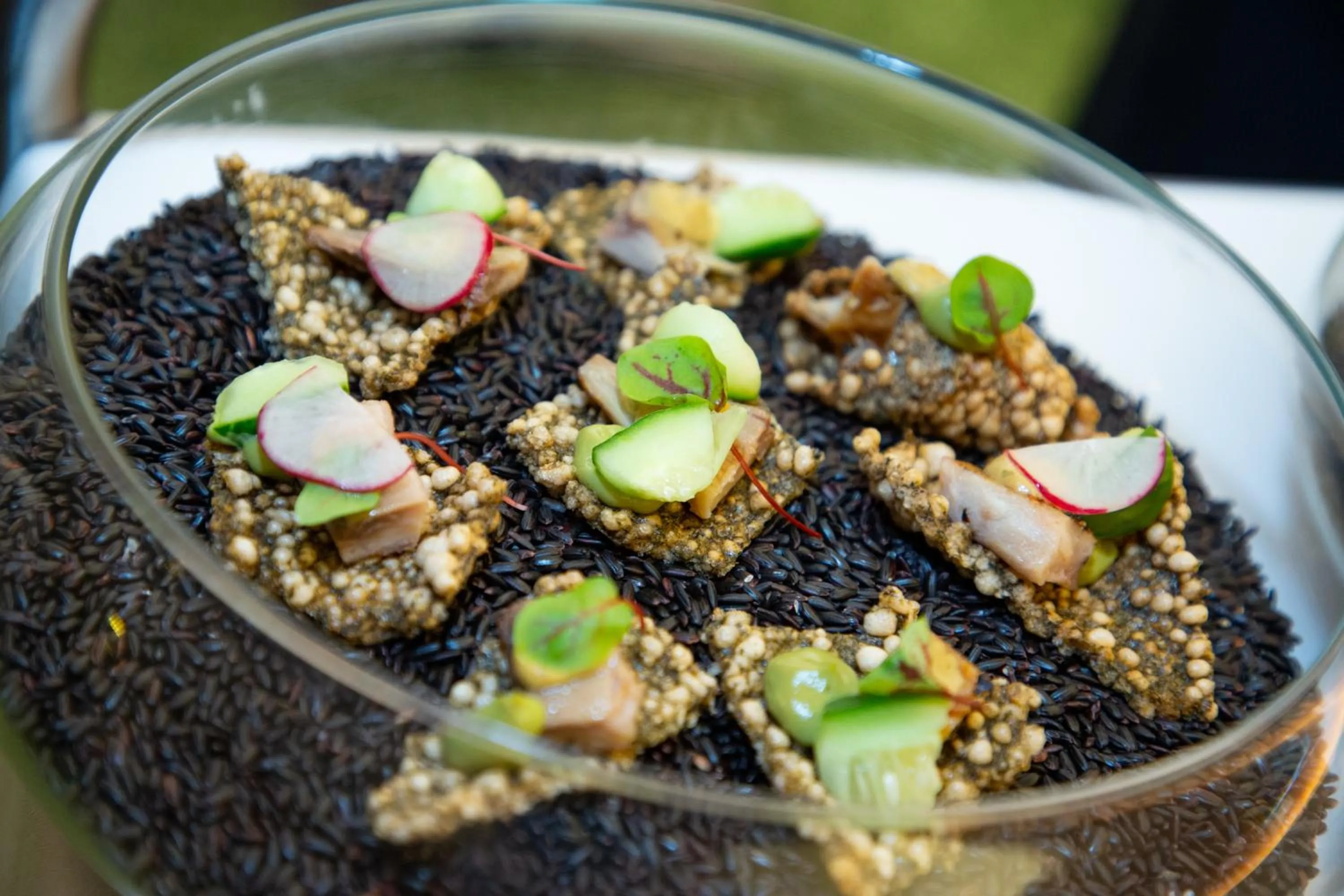 Food in Spa Resort Styria- ADULTS ONLY