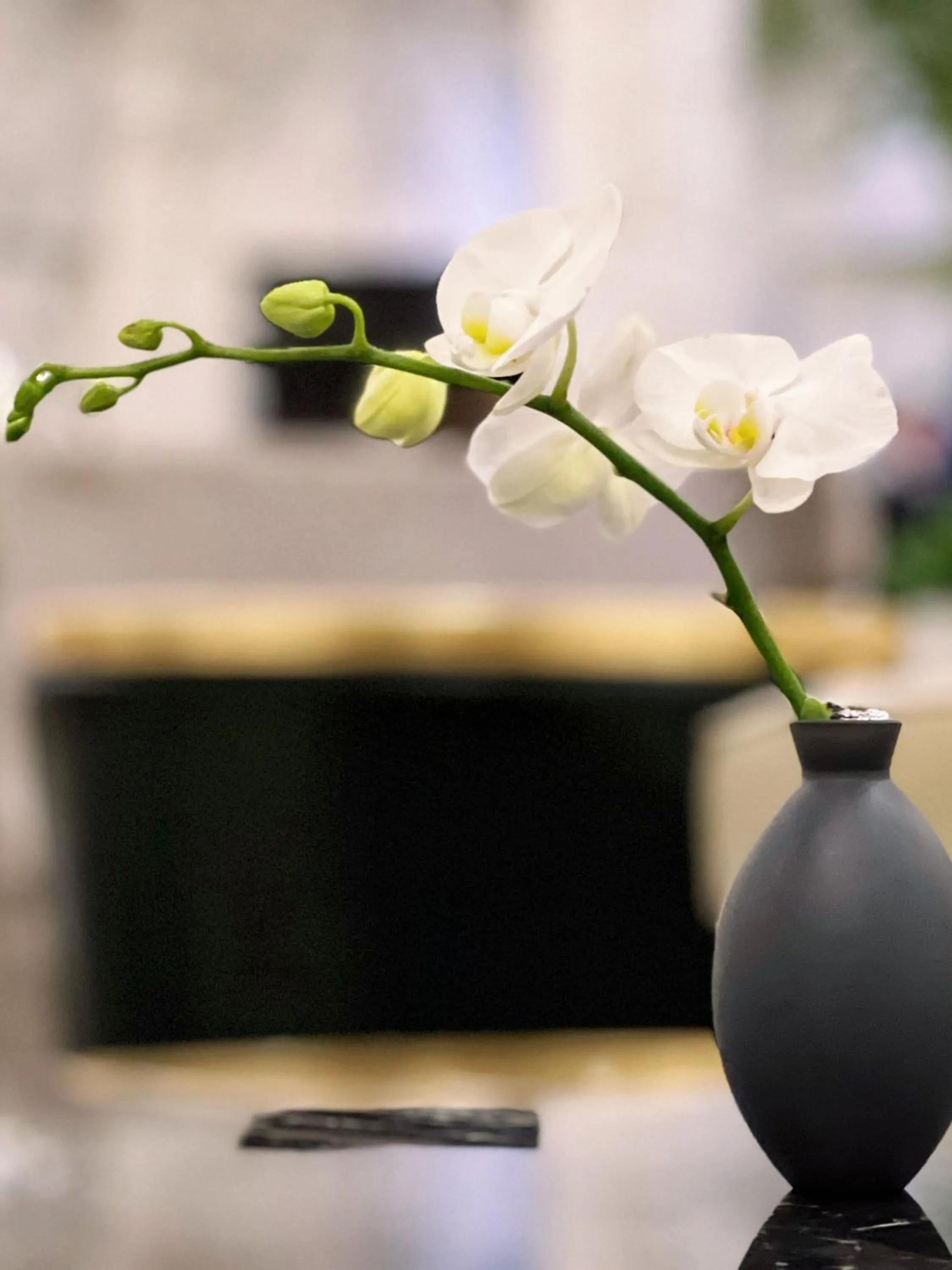 Lobby or reception in Crowne Plaza Zhengzhou by IHG