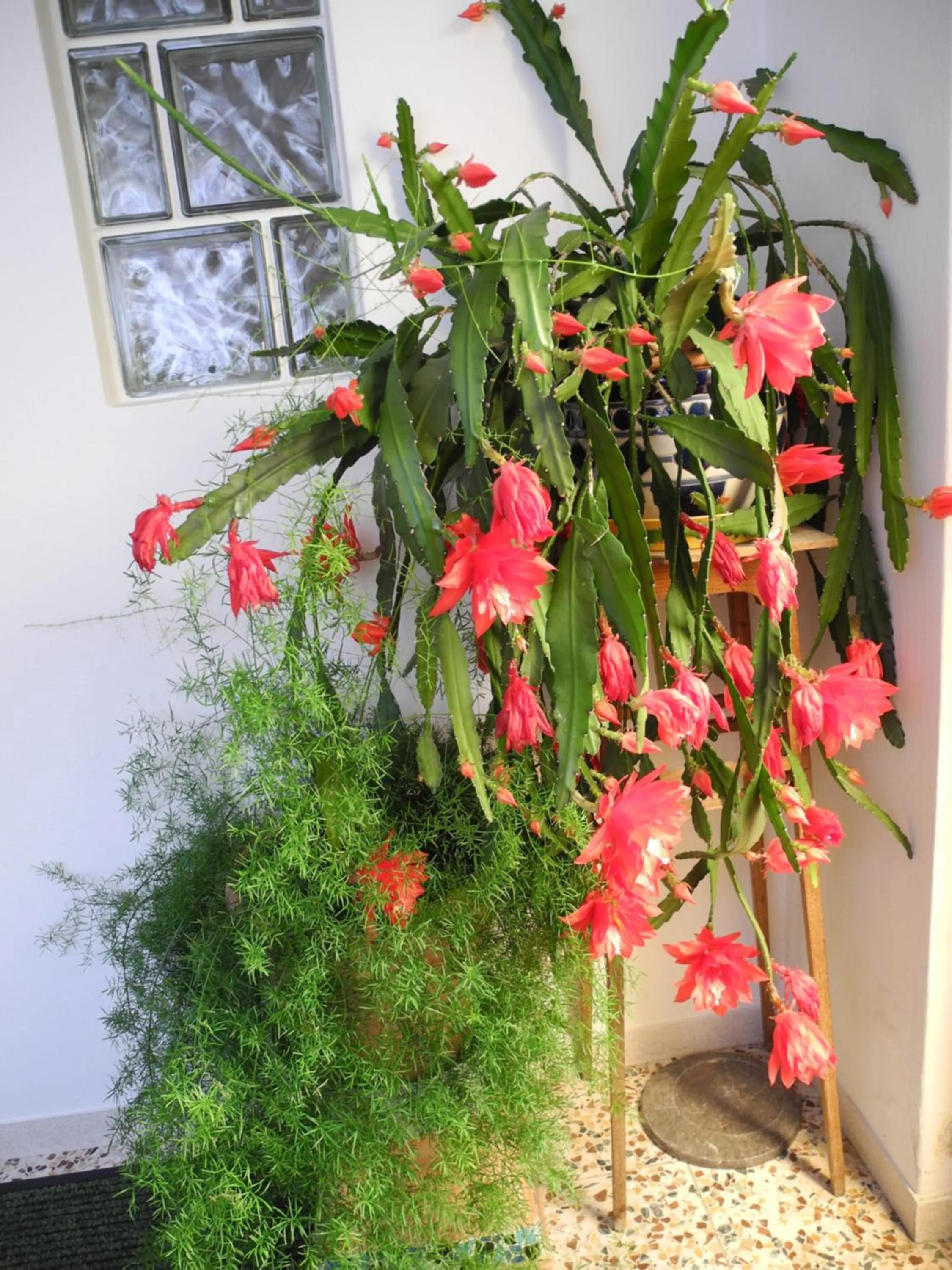 Decorative detail in Hotel Rosner