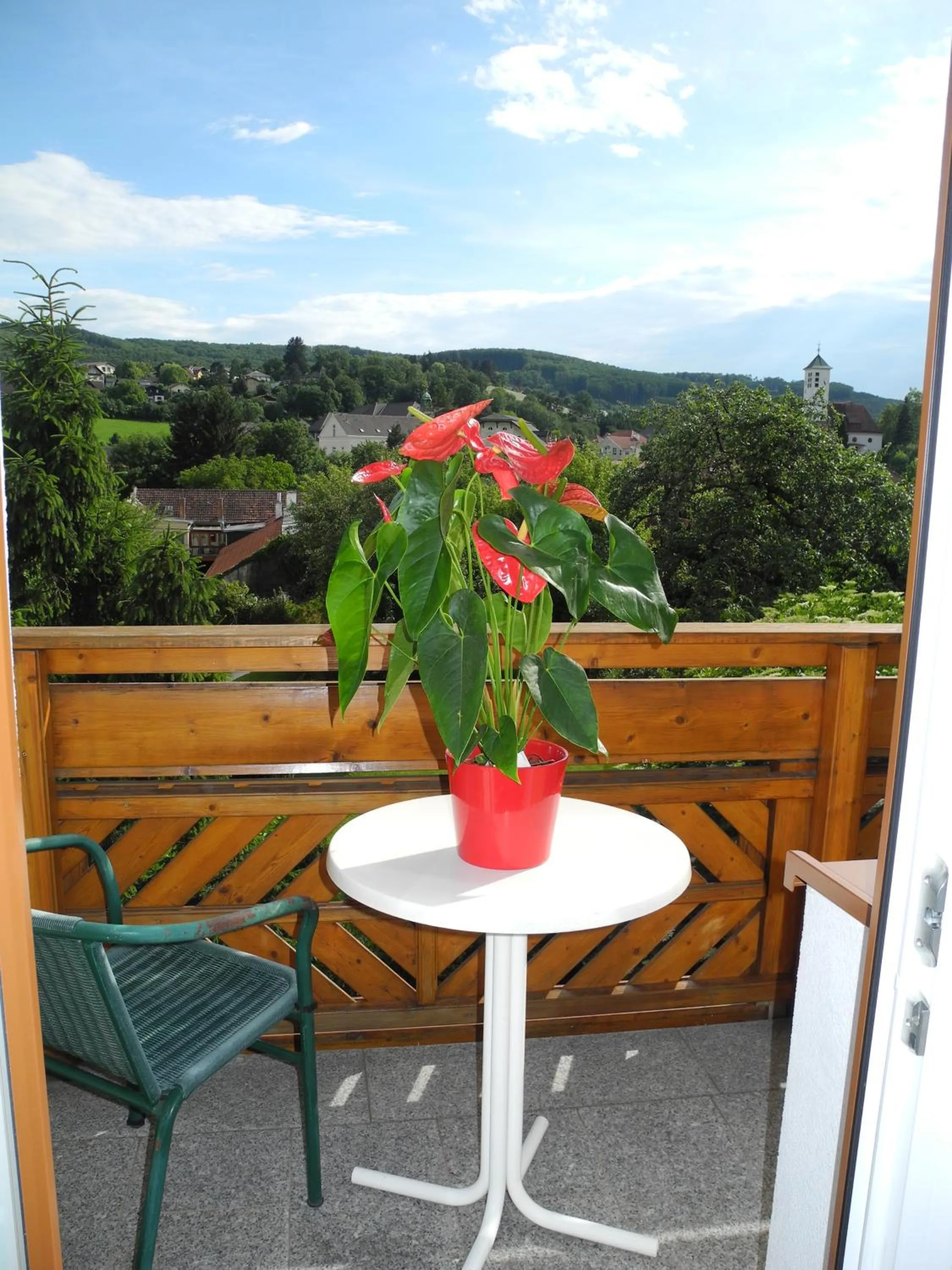 View (from property/room) in Hotel Rosner