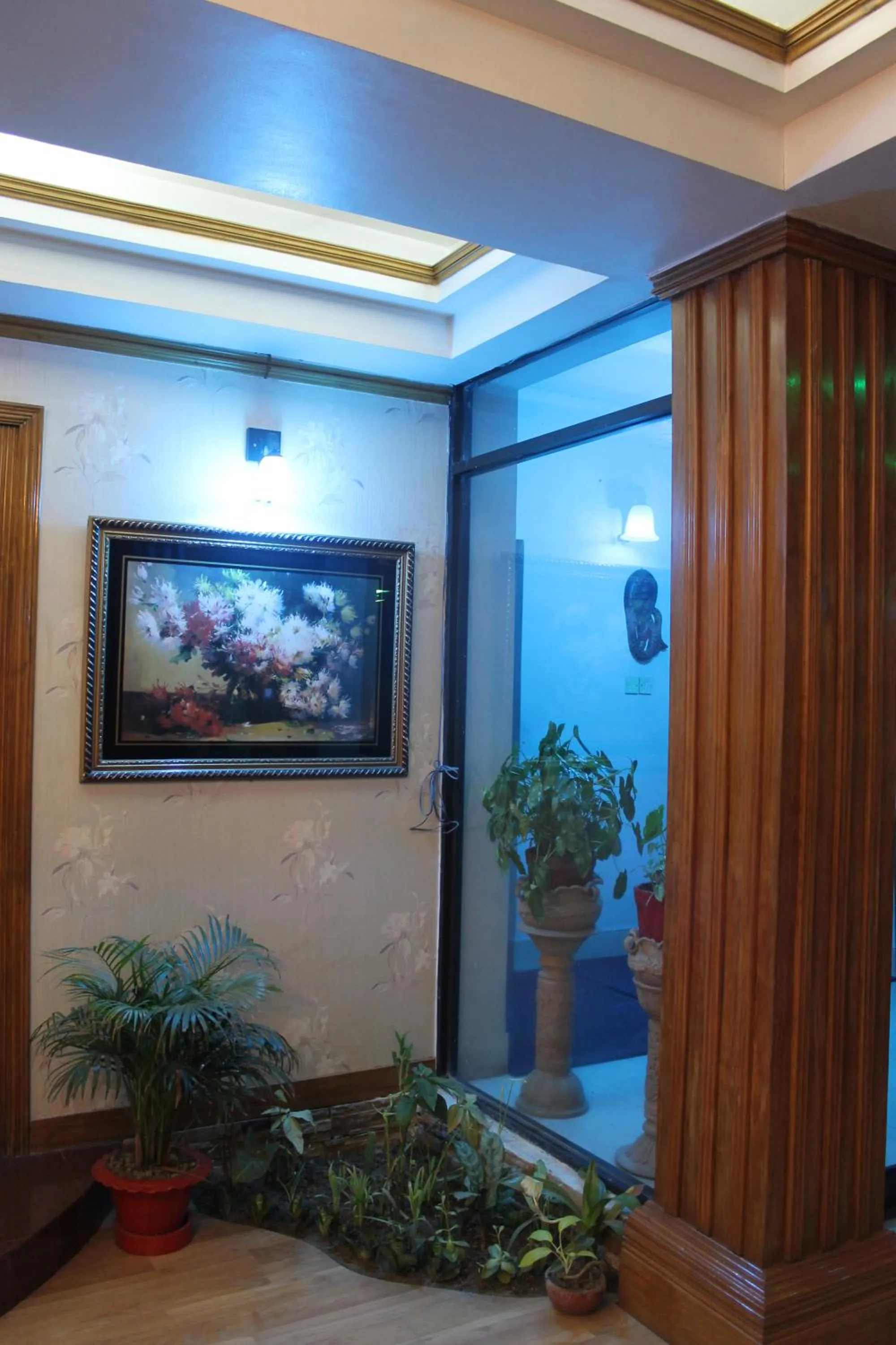 Hotel De Meridian Ltd