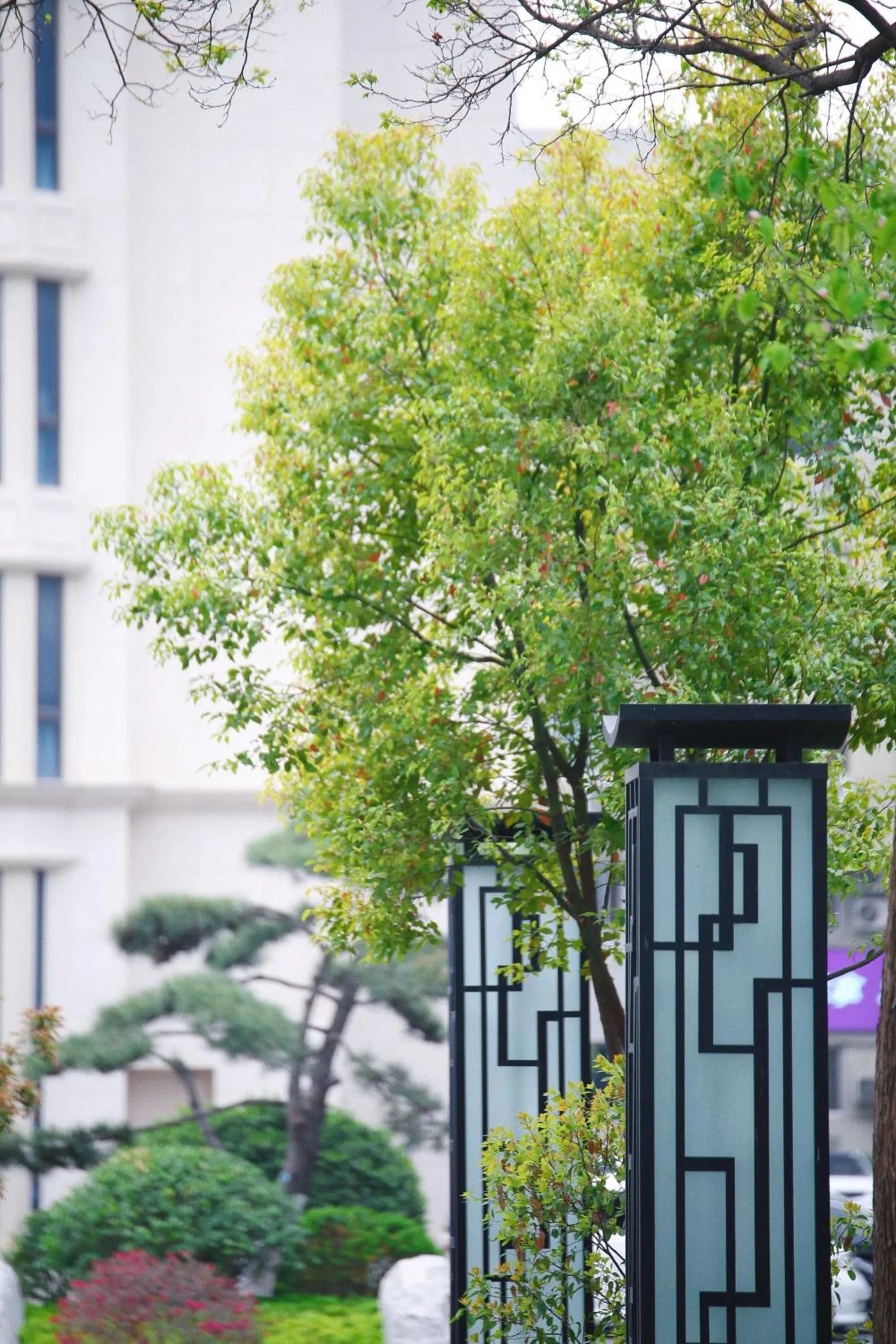 Garden in Holiday Inn Zhengzhou Zhongzhou by IHG