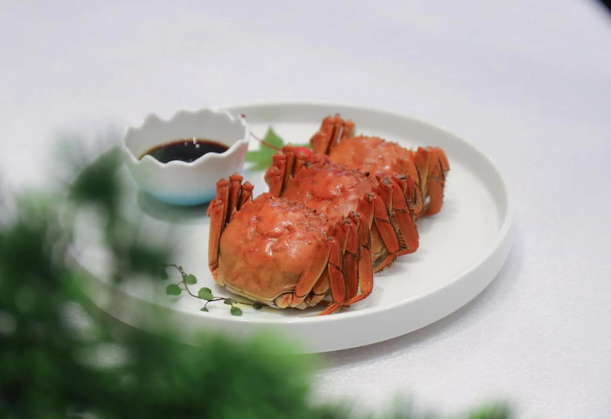 Restaurant/places to eat in Holiday Inn Zhengzhou Zhongzhou by IHG