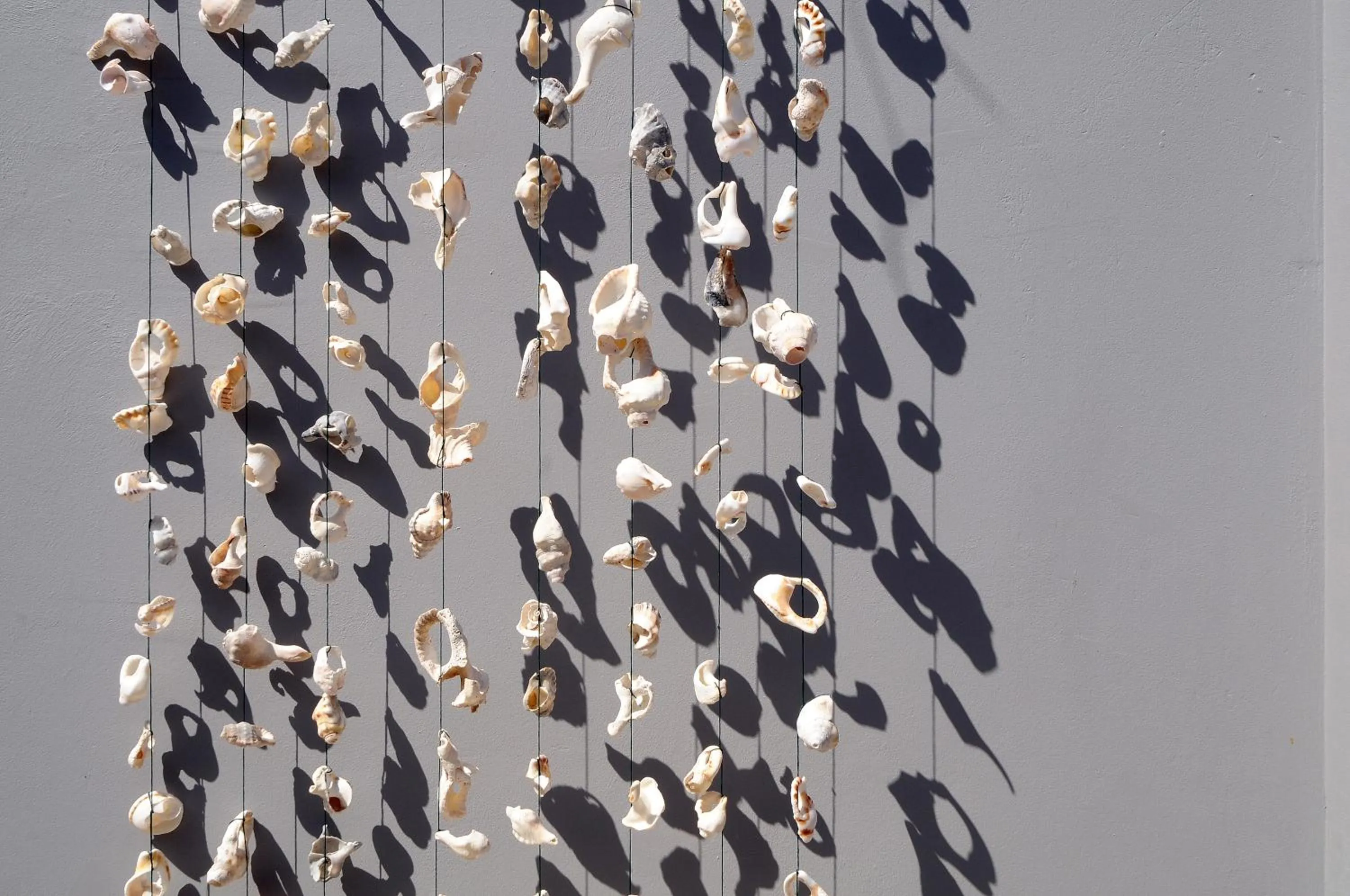 Inverell Station by The Oyster Collection