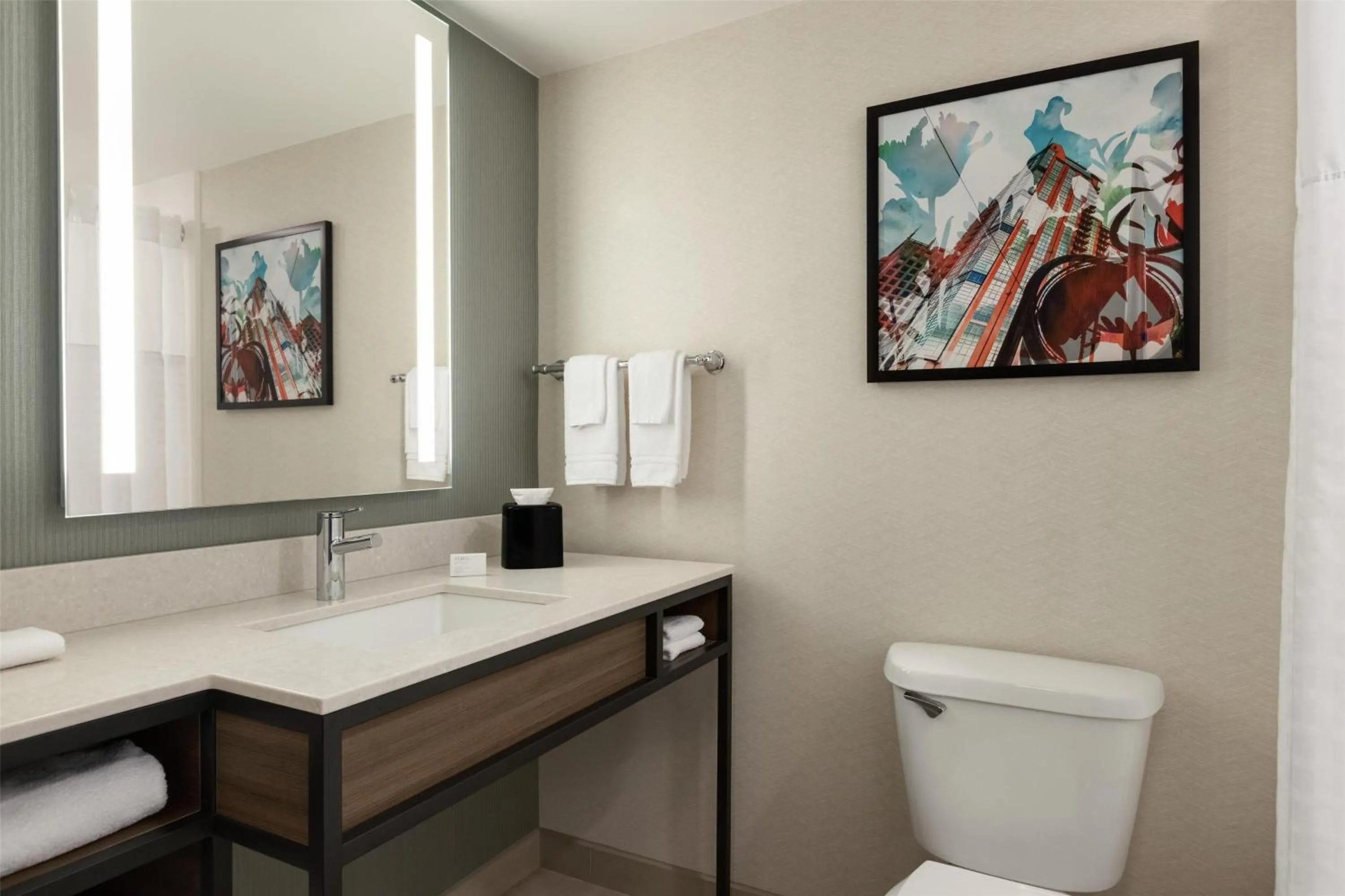 Bathroom in Hilton Garden Inn Atlanta Downtown