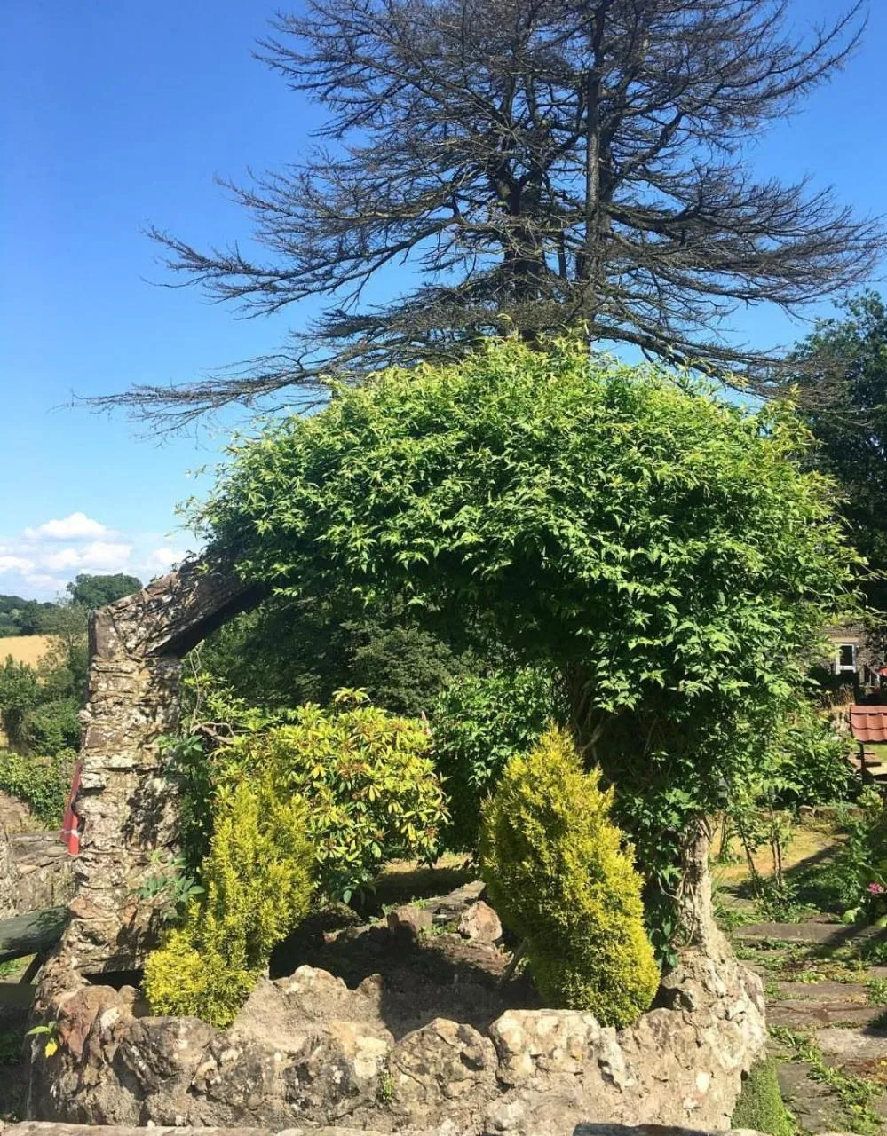 Littledean House Hotel