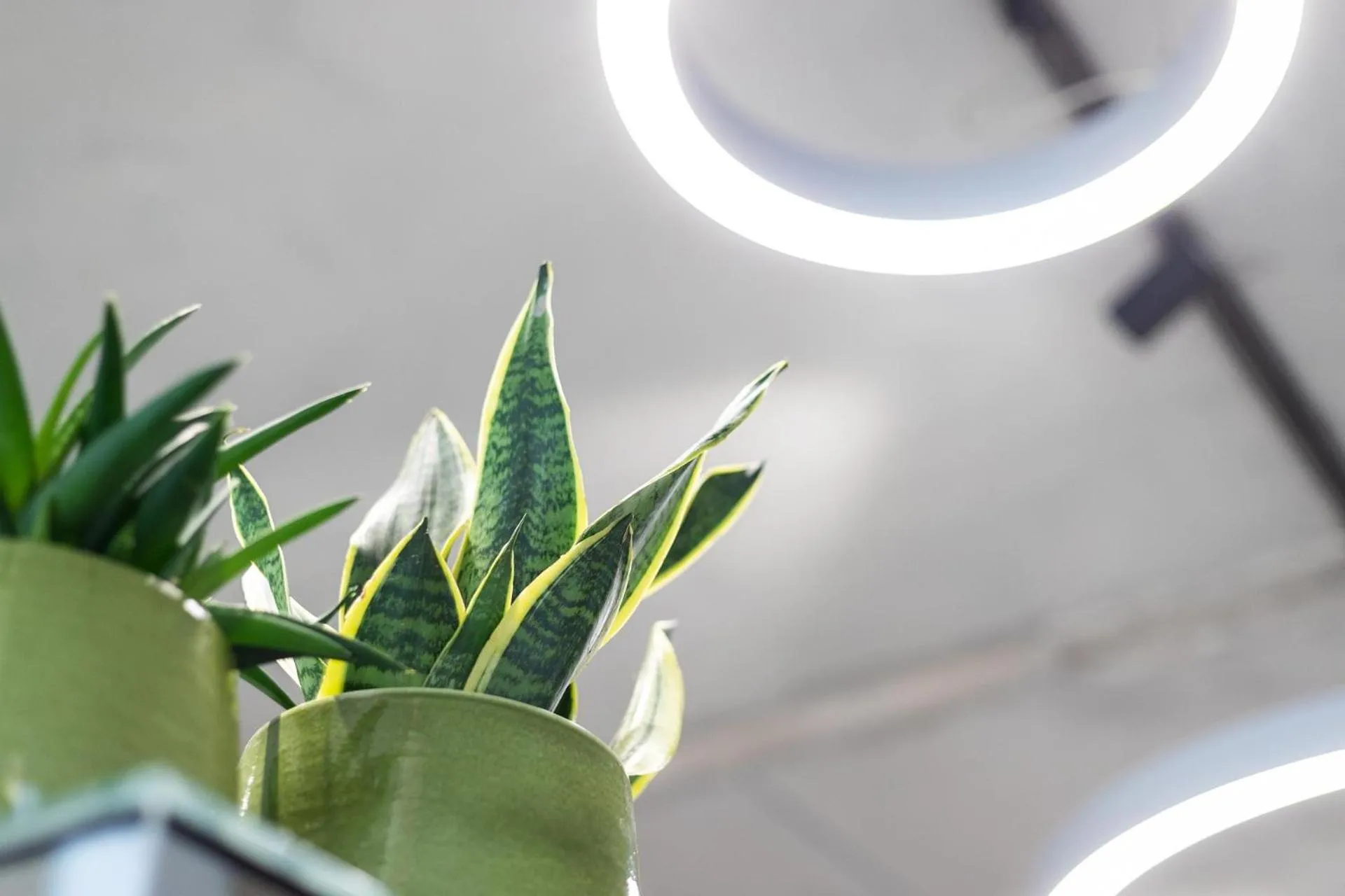 Lobby or reception in Avaneo Hotel Marktredwitz