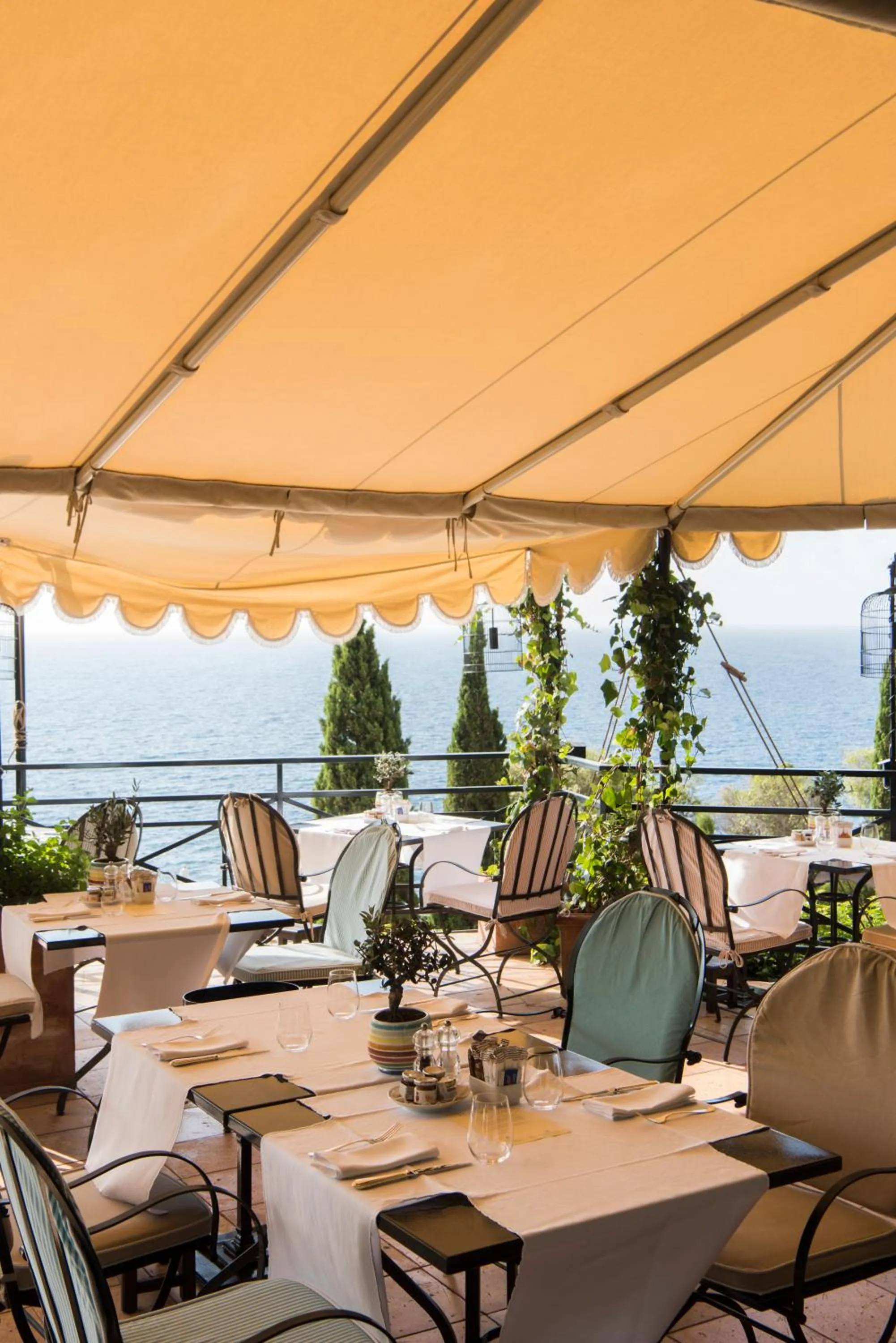 Restaurant/places to eat in Il Pellicano