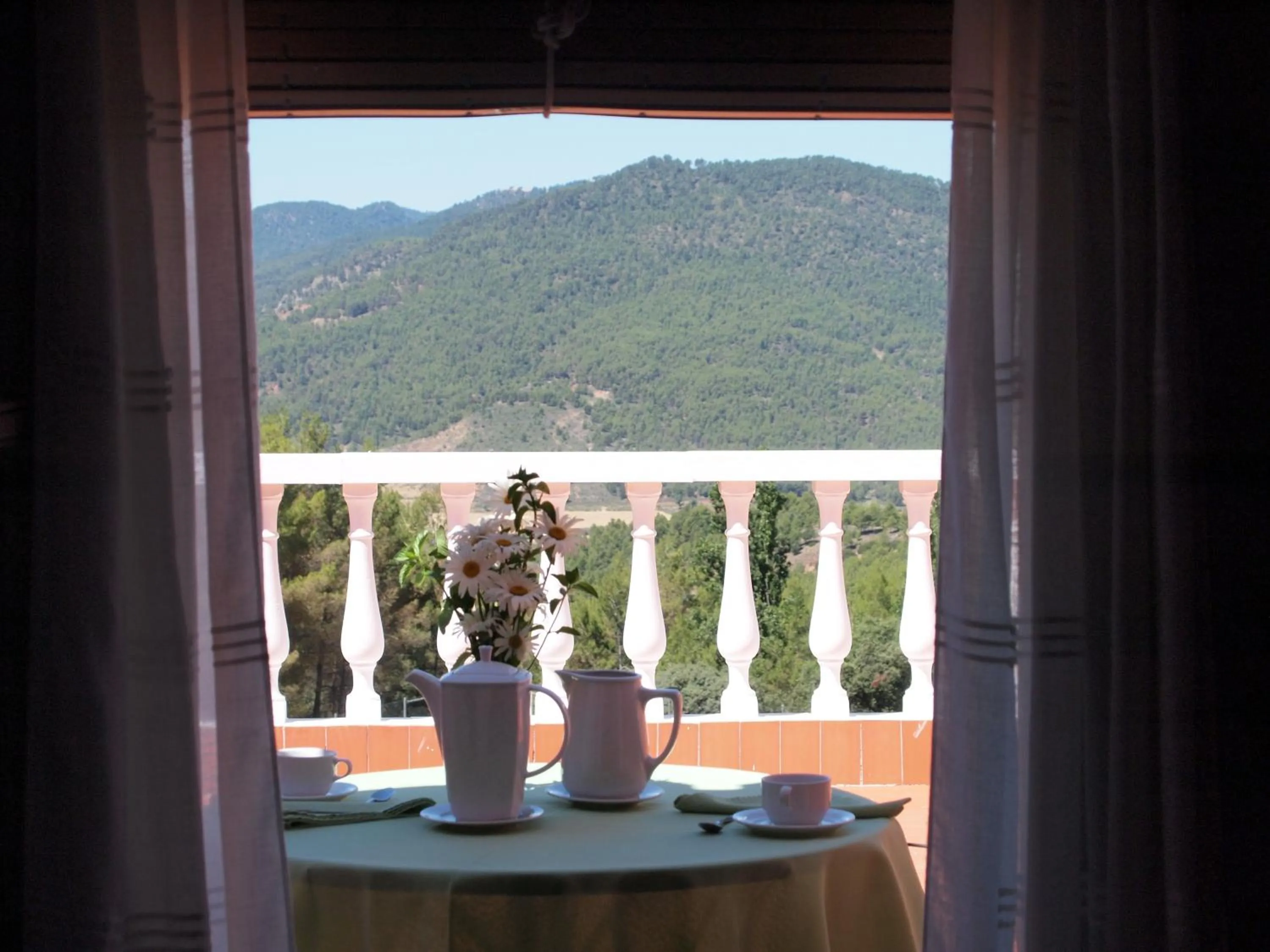 Balcony/Terrace in Hospedium Hotel Val de Pinares