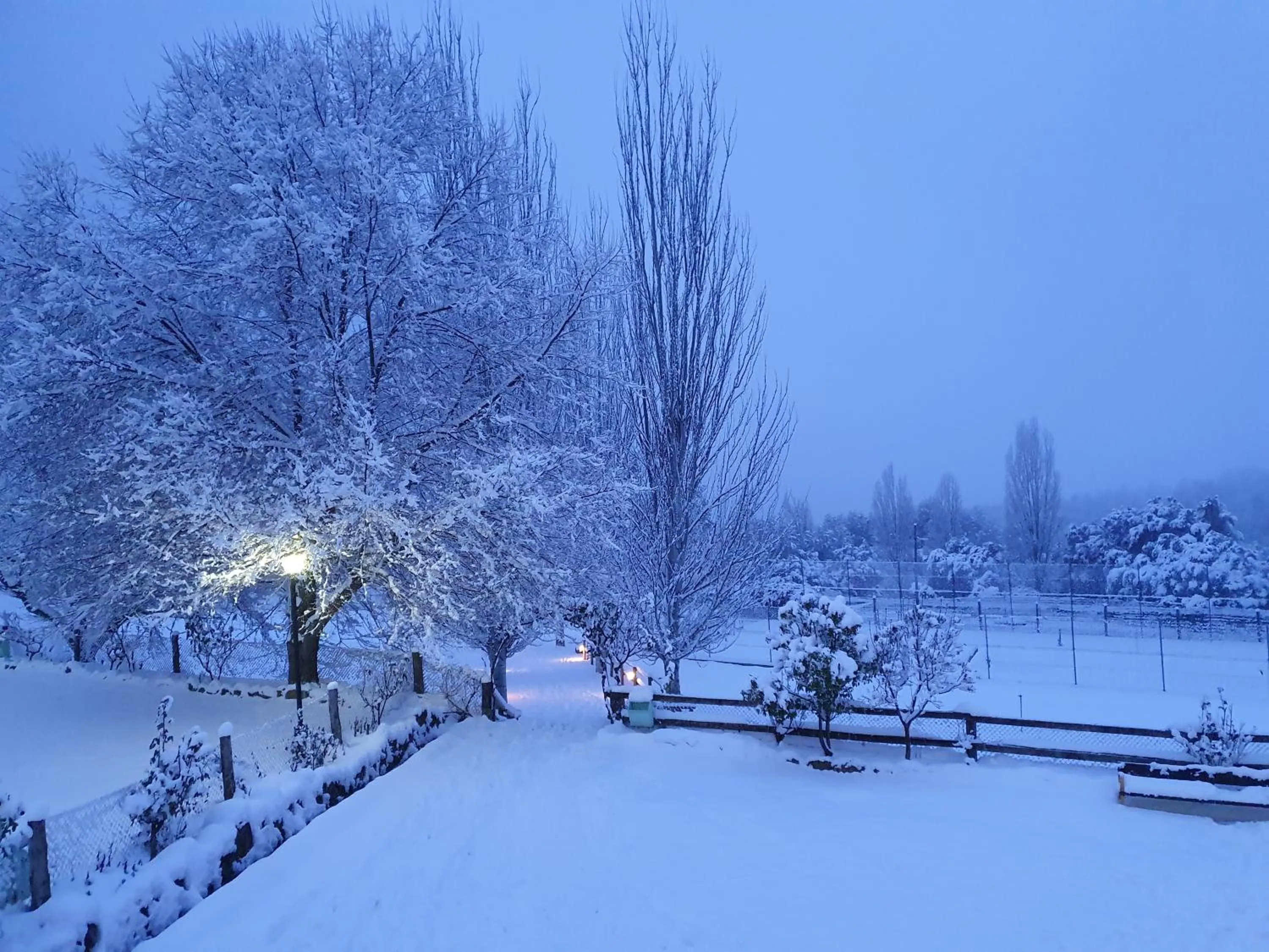 Winter in Hospedium Hotel Val de Pinares