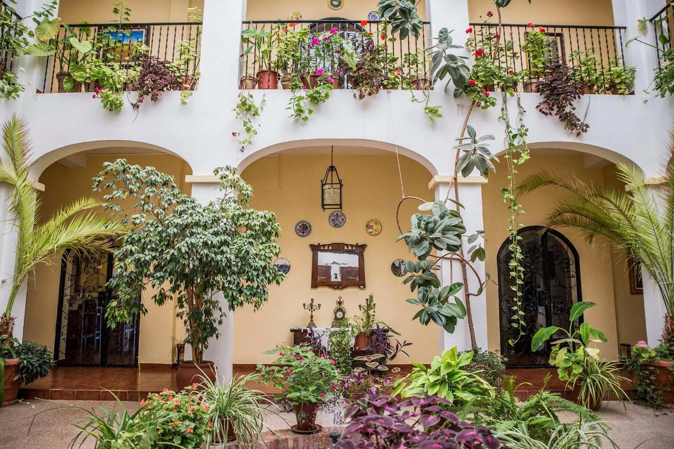 Patio in Hospedium Hotel Val de Pinares