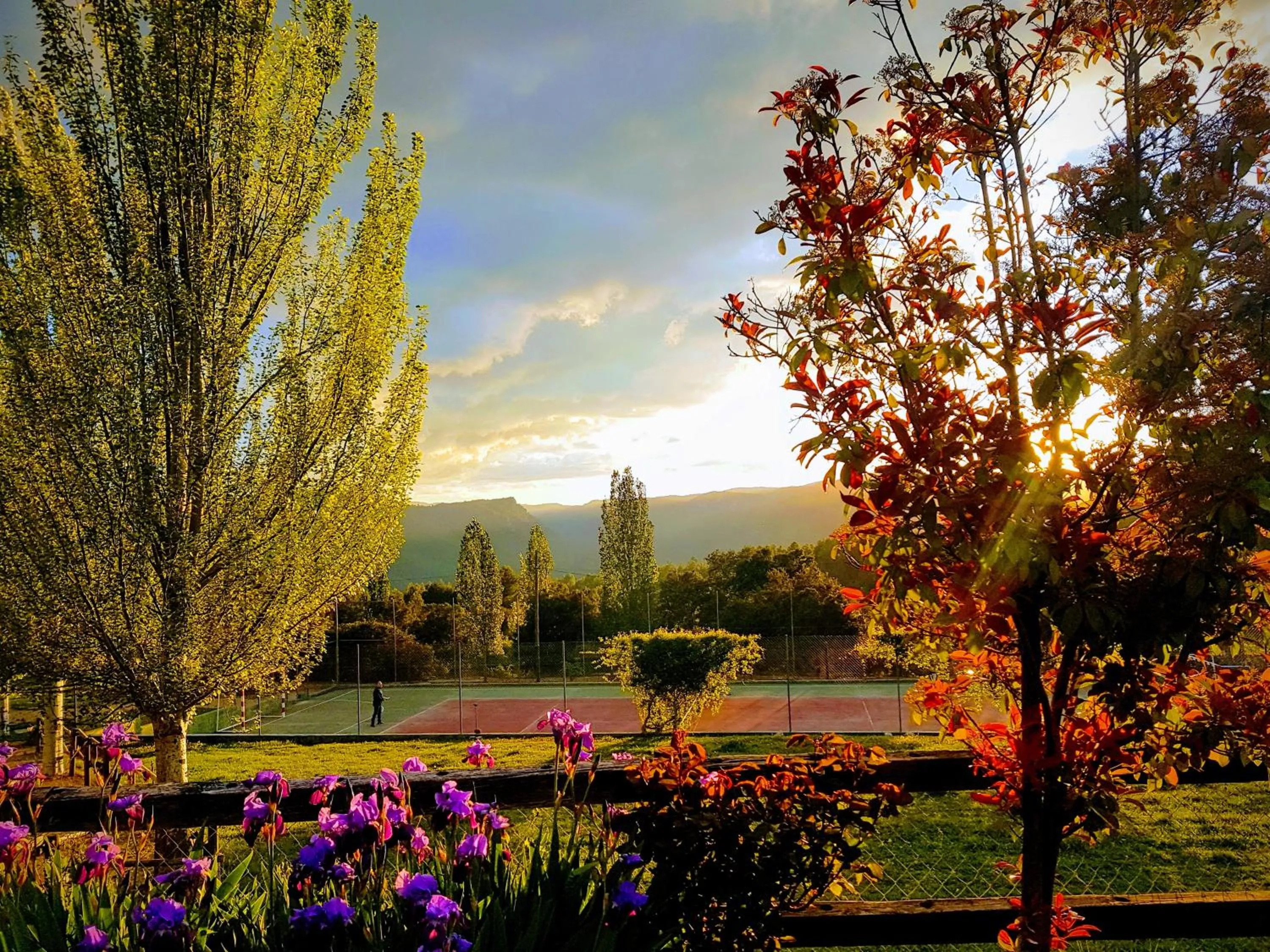 Natural landscape in Hospedium Hotel Val de Pinares