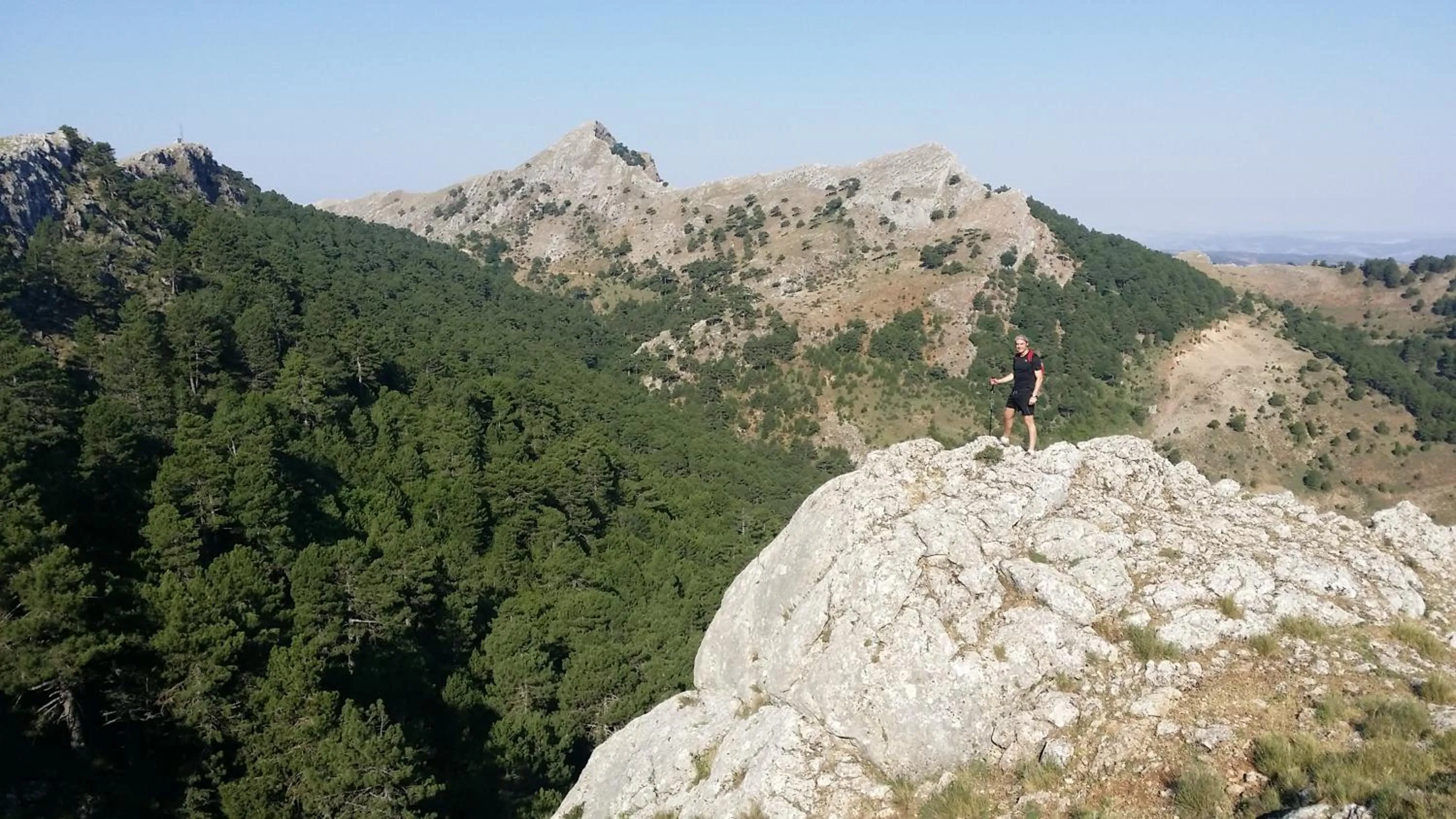 Natural landscape in Hospedium Hotel Val de Pinares