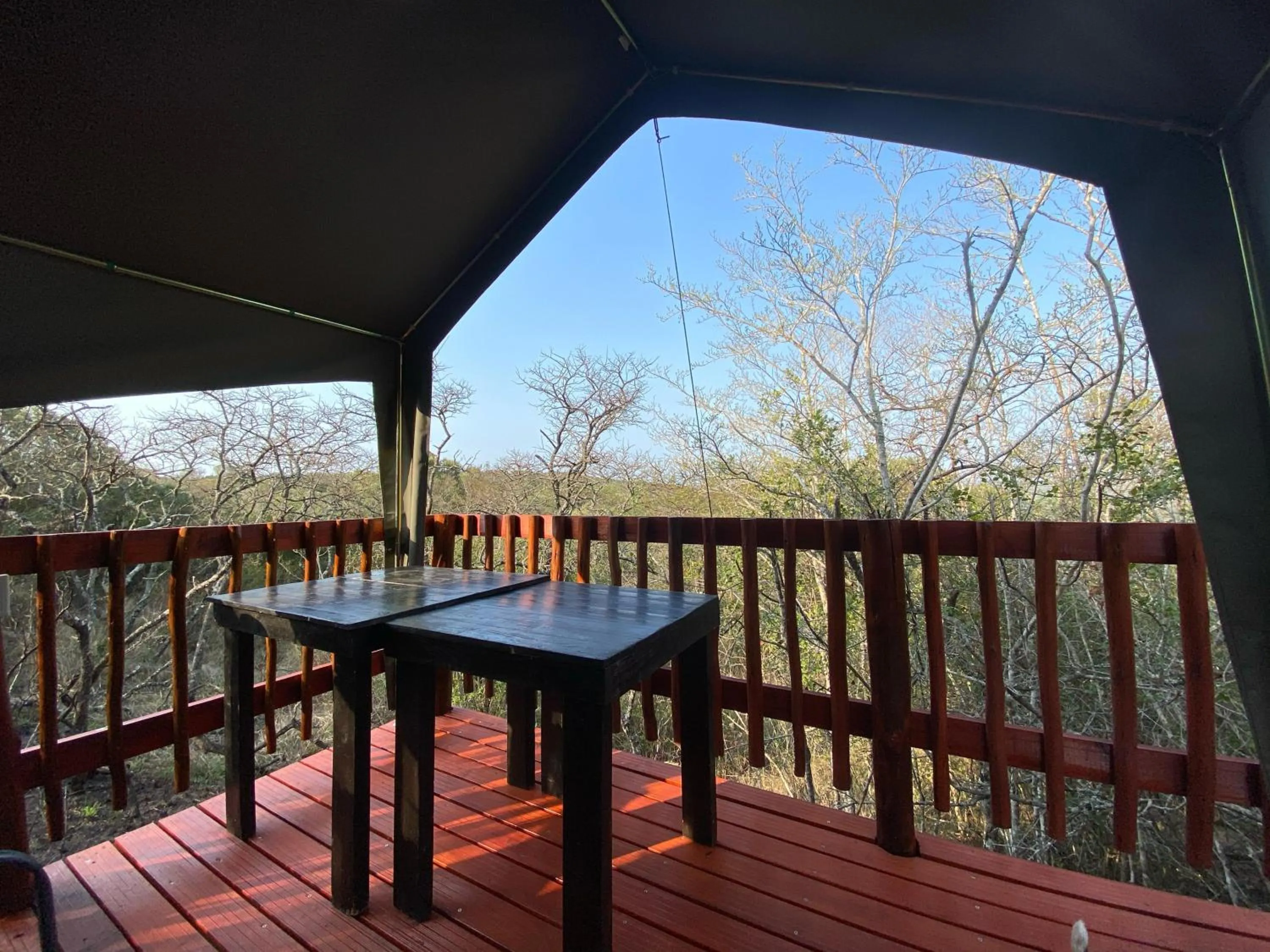 View (from property/room) in Horseshoe Game Reserve