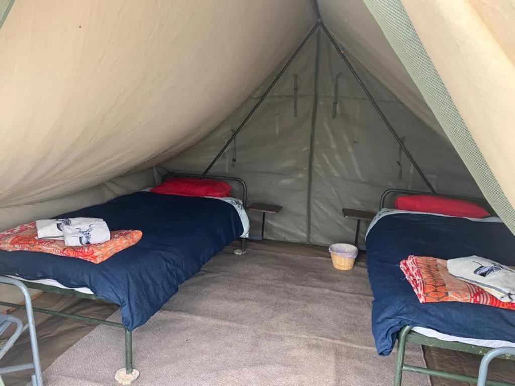 Photo of the whole room, Bed in Horseshoe Game Reserve