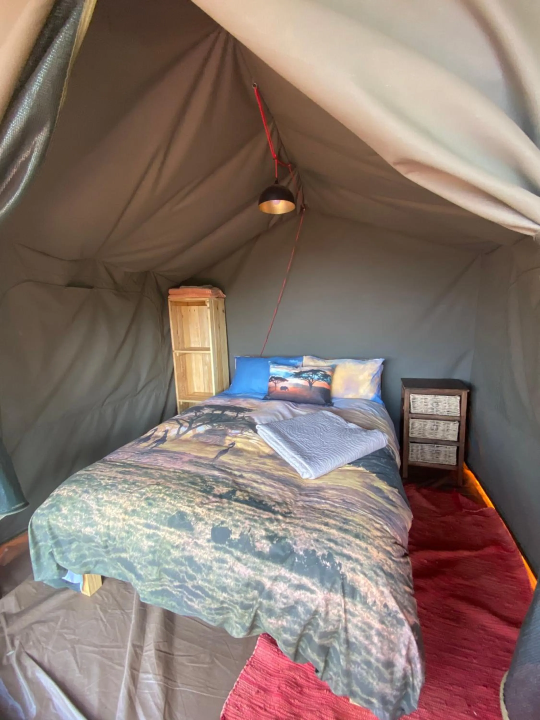 Property building, Bed in Horseshoe Game Reserve