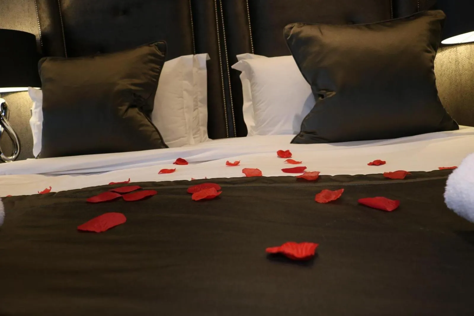 Decorative detail, Bed in The Bold Hotel; BW Signature Collection