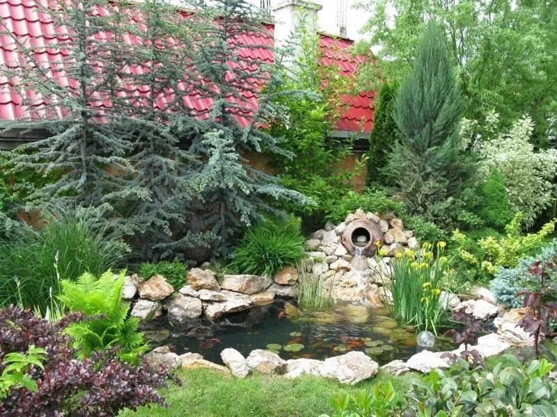Garden in Hotel Oasis