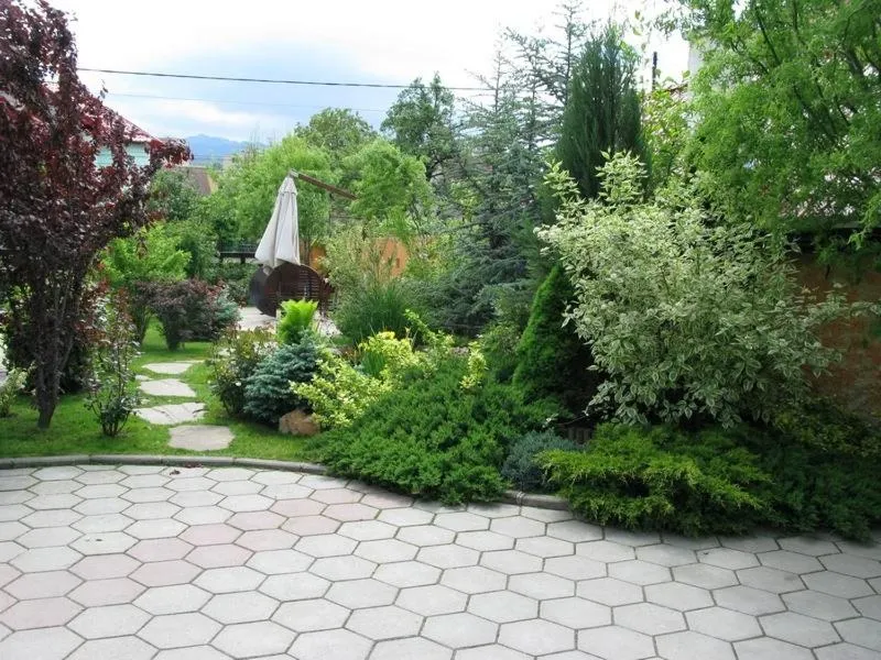 Garden in Hotel Oasis