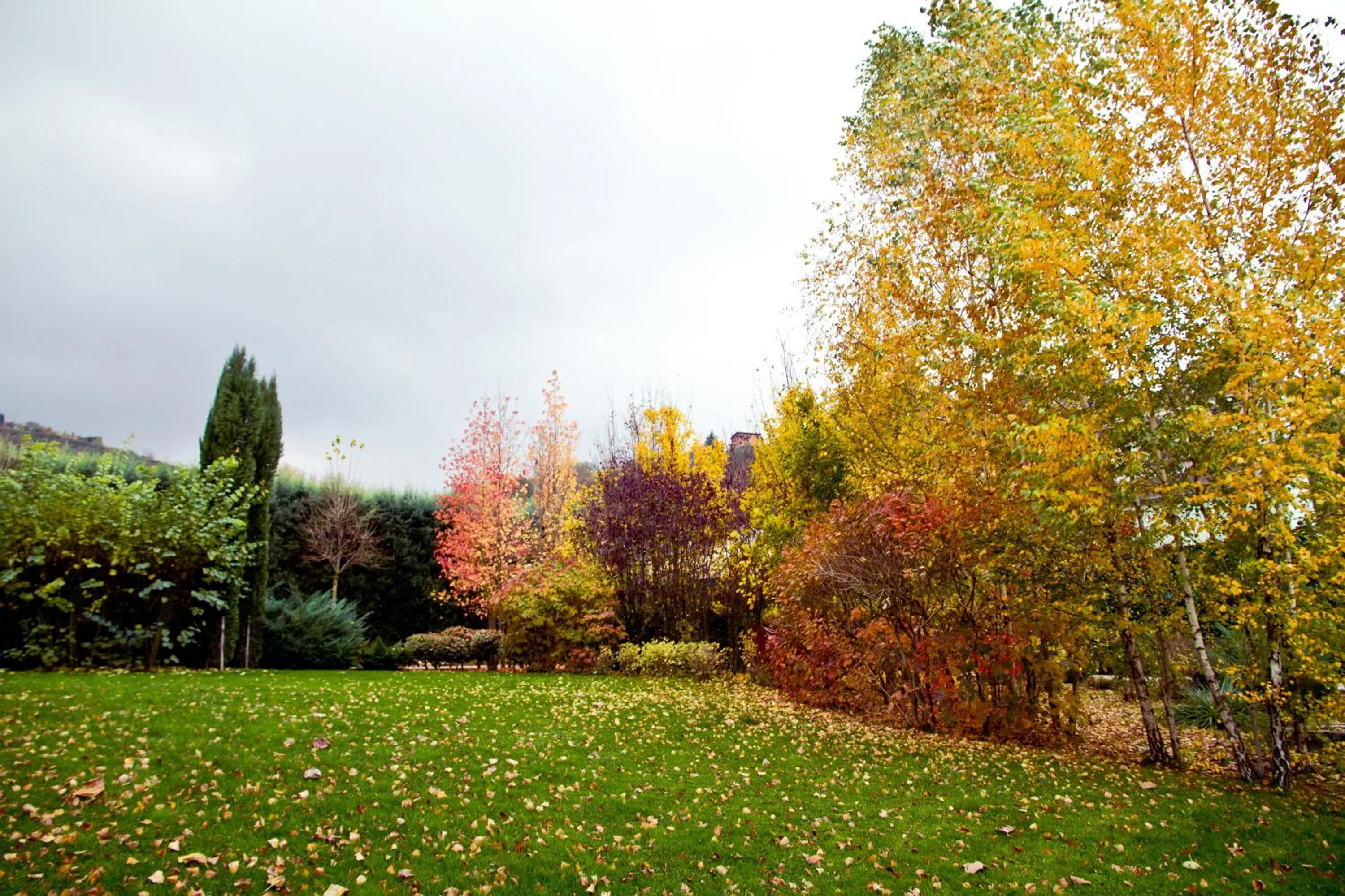 Garden in Albergo La Primula