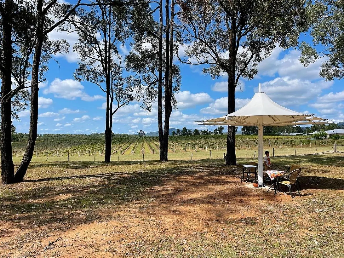 Villa Provence Estate