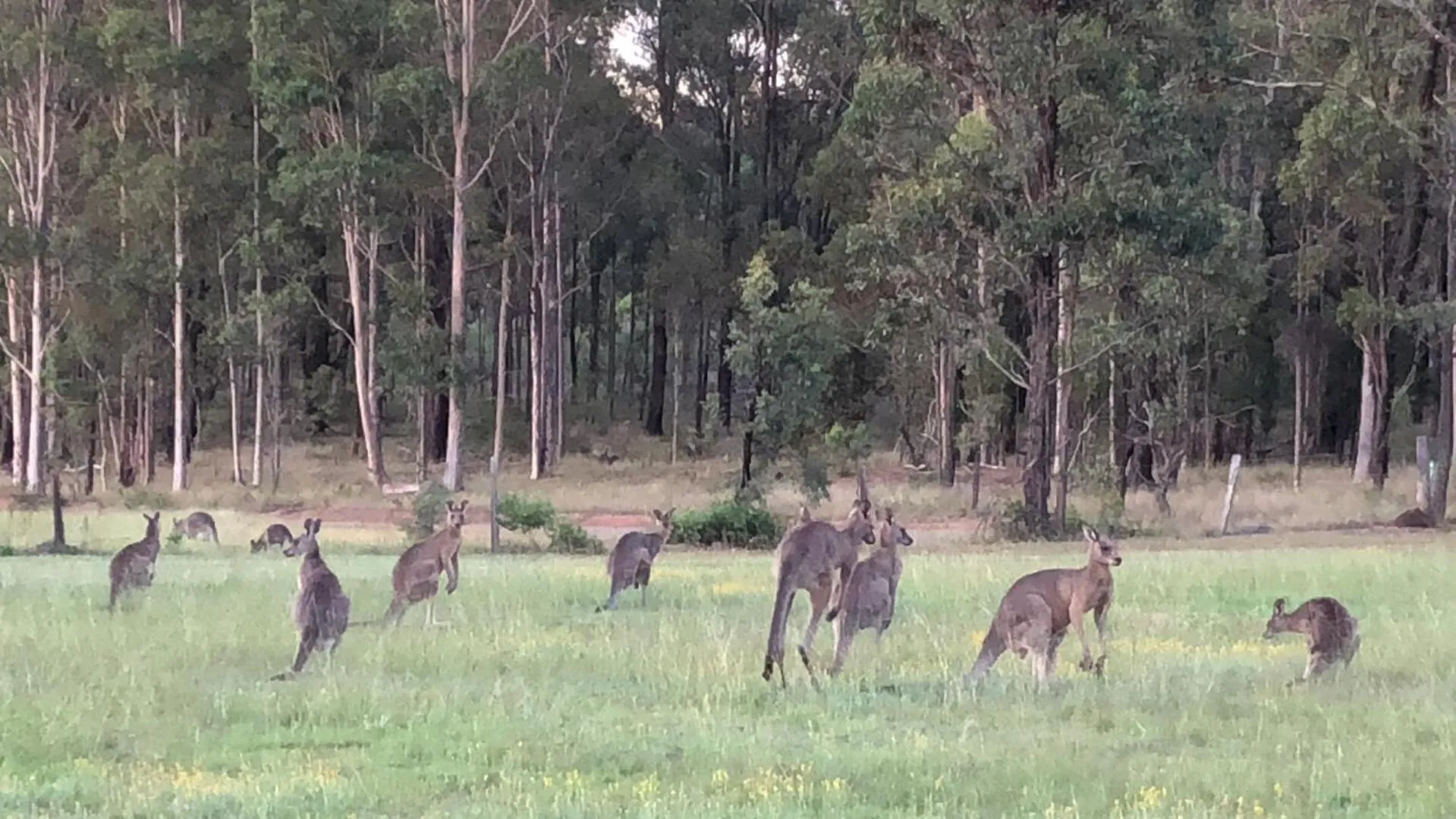 View (from property/room) in Villa Provence Estate