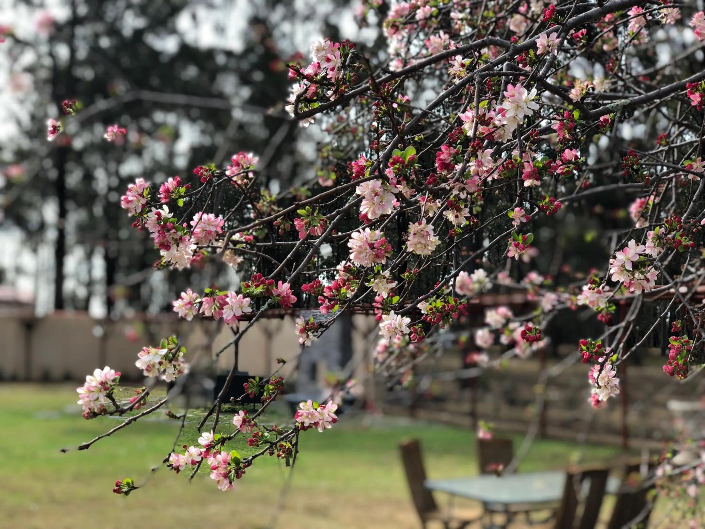 Villa Provence Estate