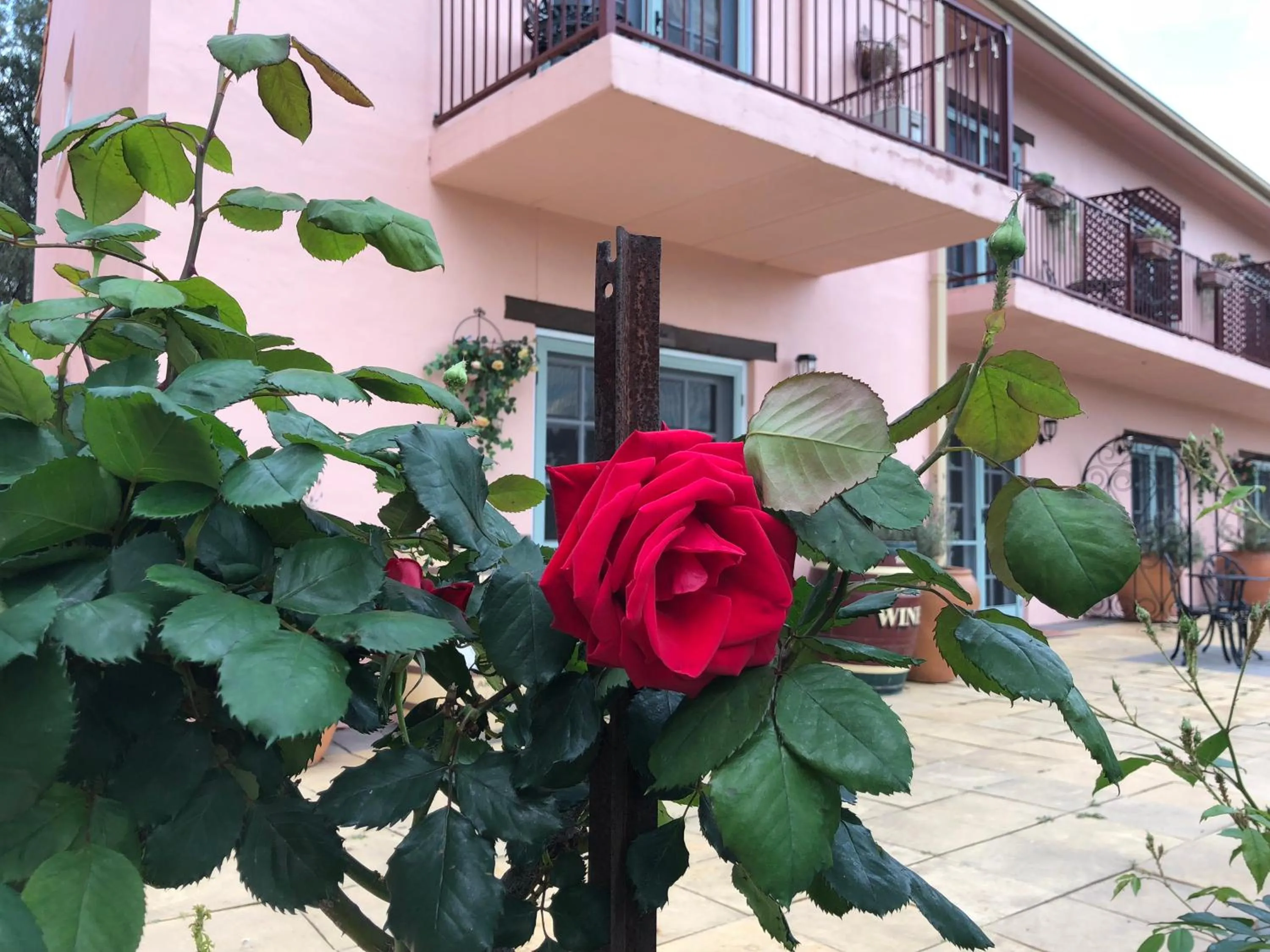 Villa Provence Estate