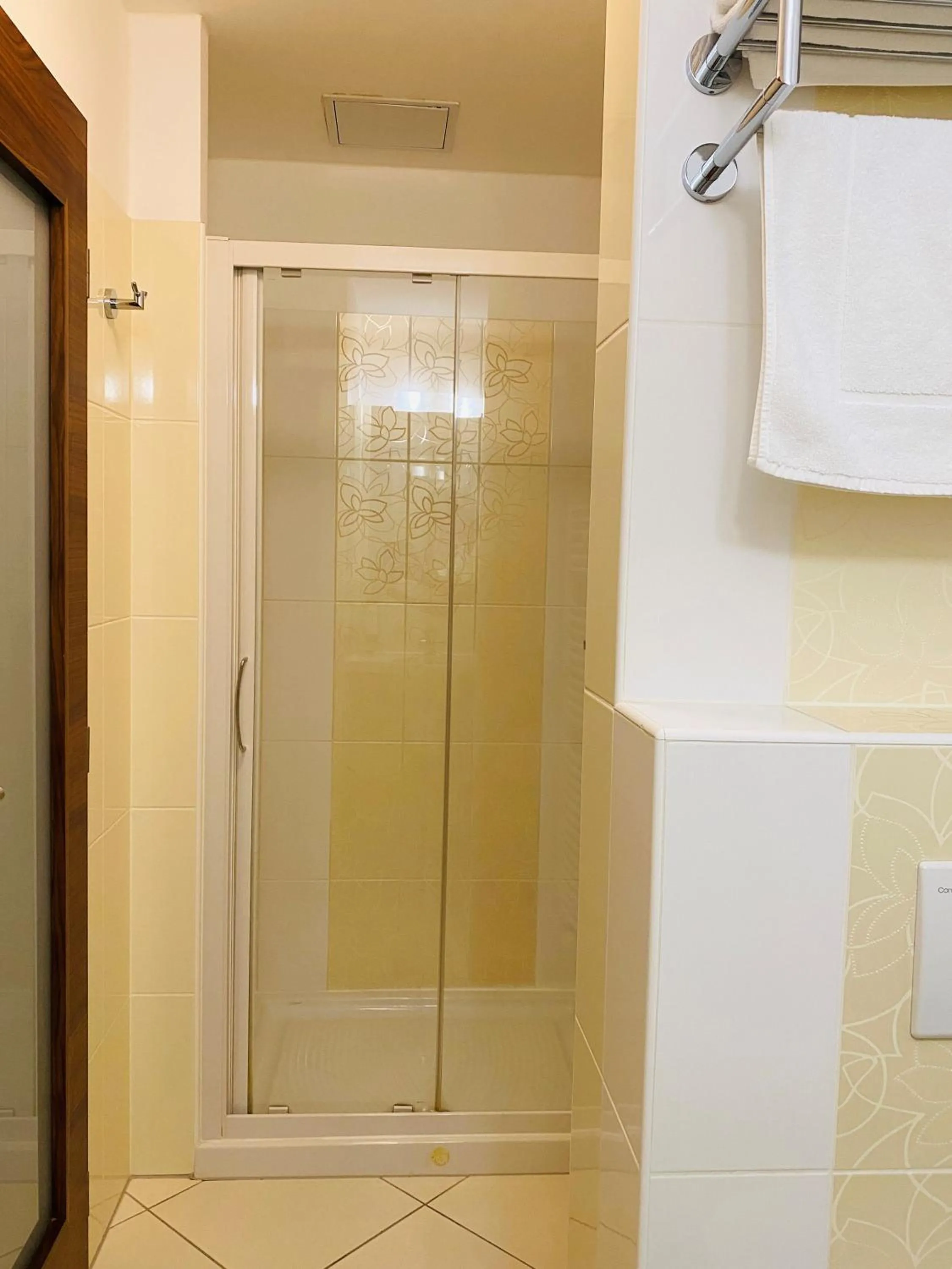 Shower in Hotel Mlynska