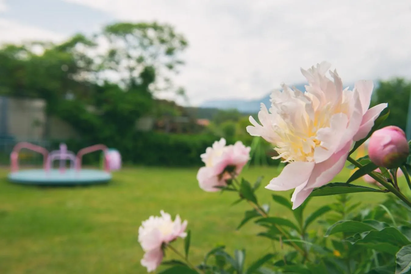 Property building in Bed & Breakfast Eckwirt