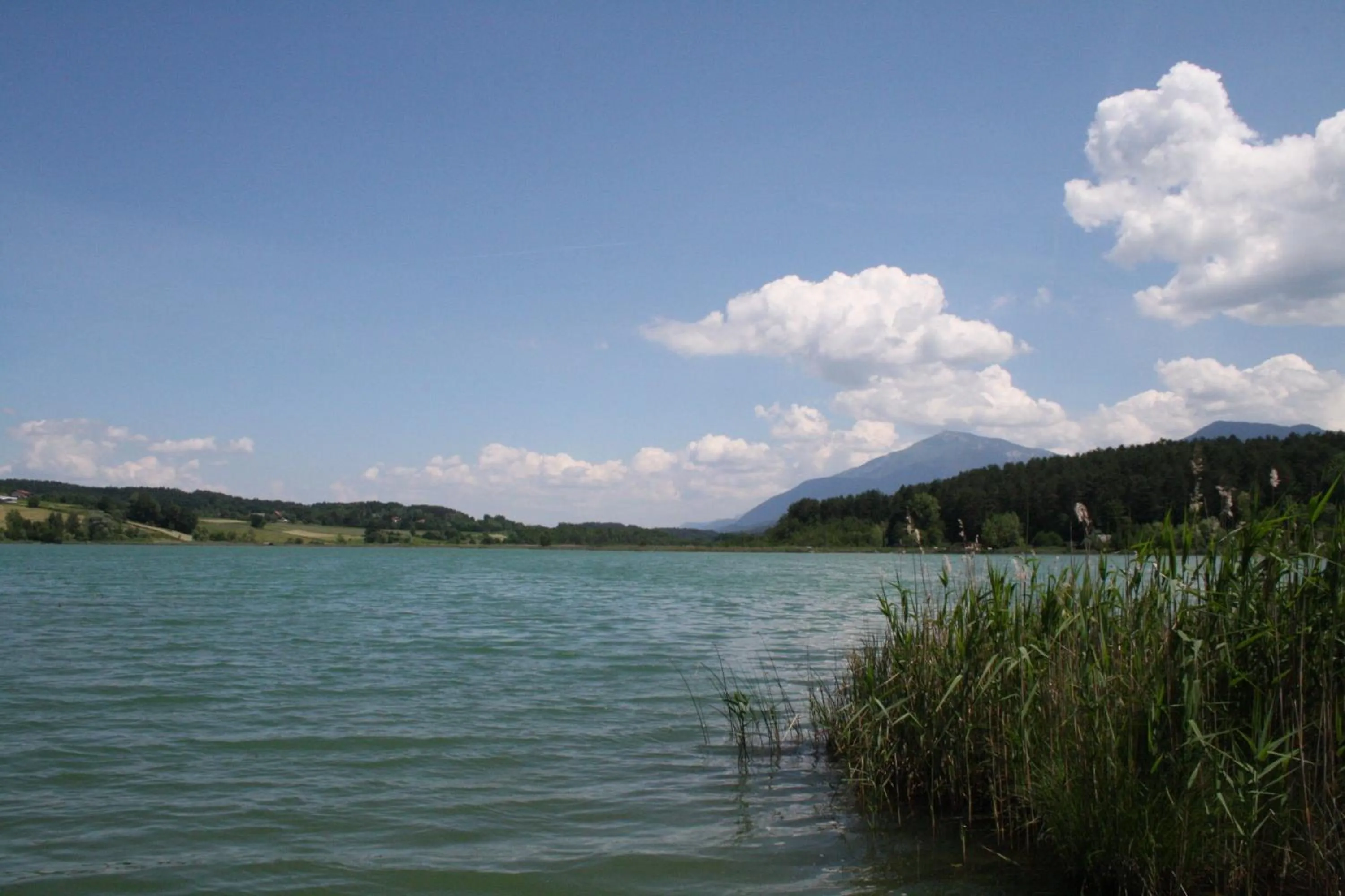 Fishing in Bed & Breakfast Eckwirt