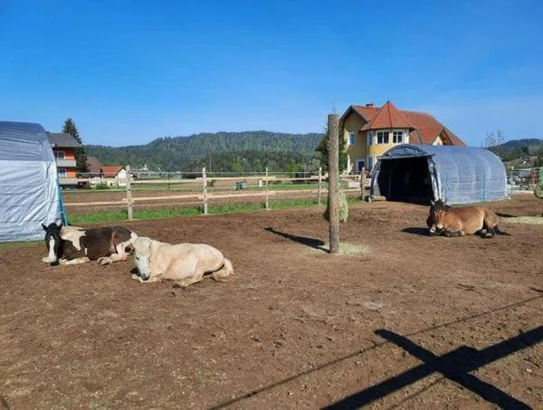 Property building in Bed & Breakfast Eckwirt