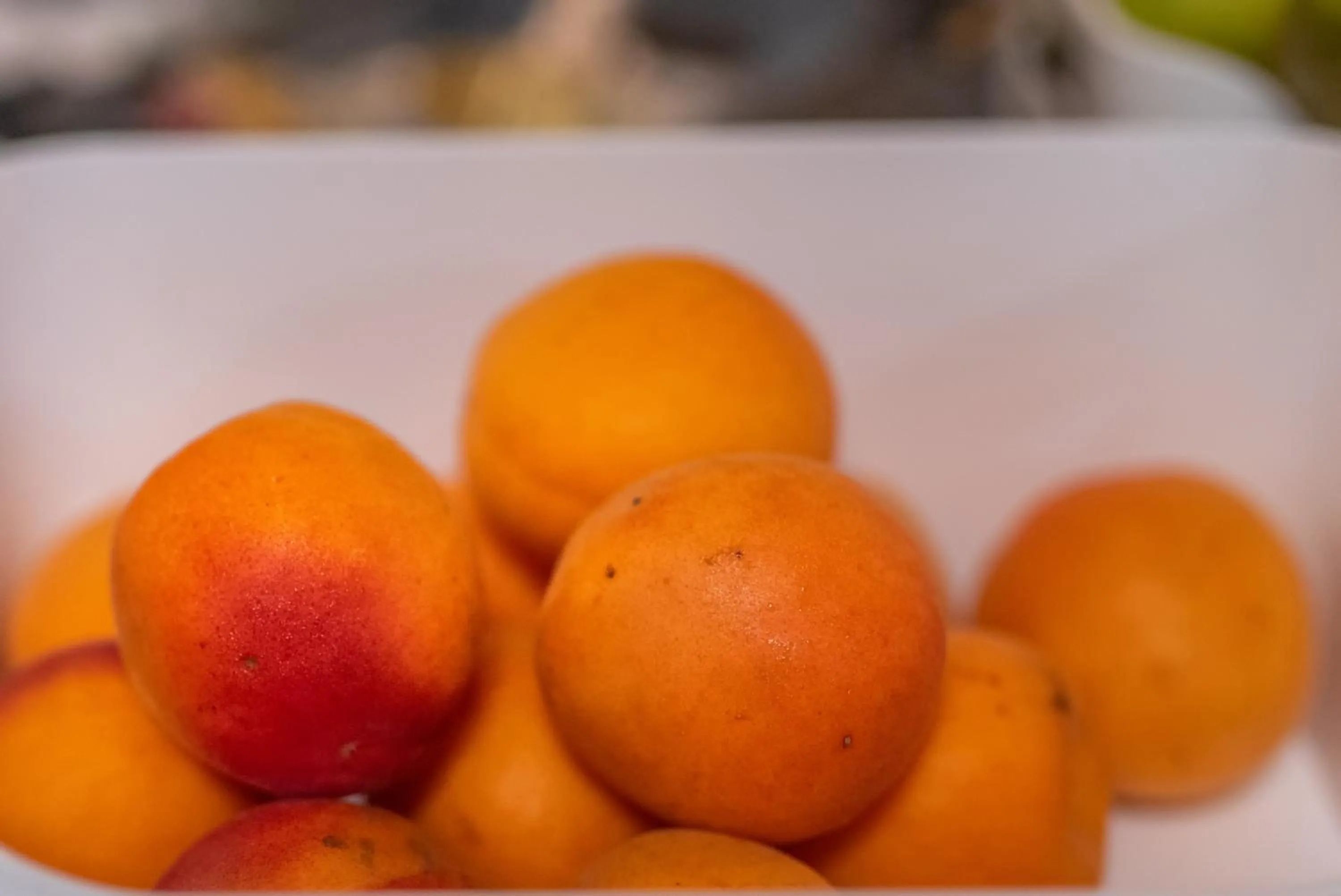 Restaurant/places to eat in Bed & Breakfast Eckwirt