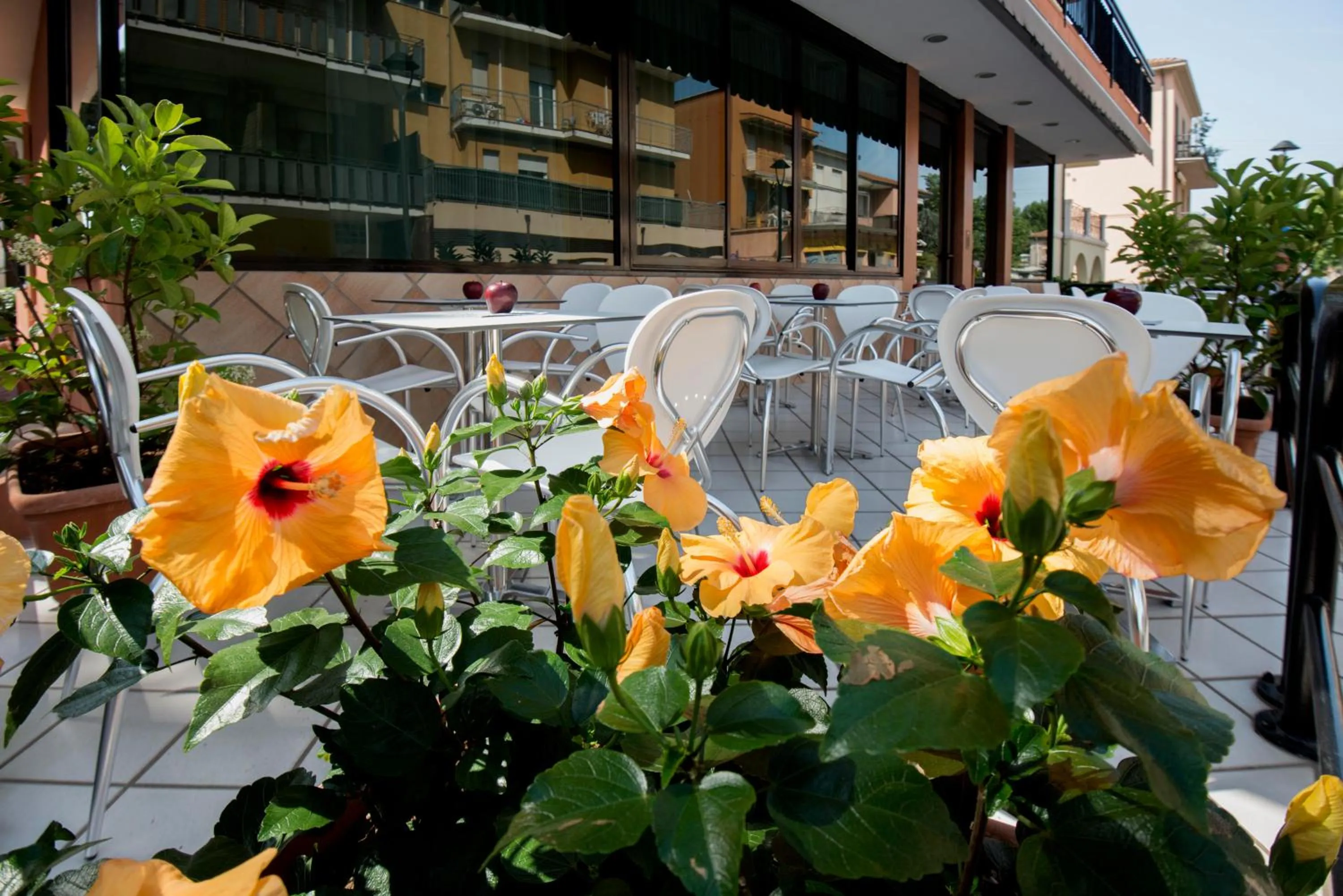 Day in Hotel Scarlet